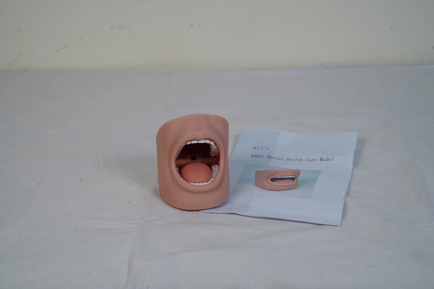 Adult Dental Health Care Model