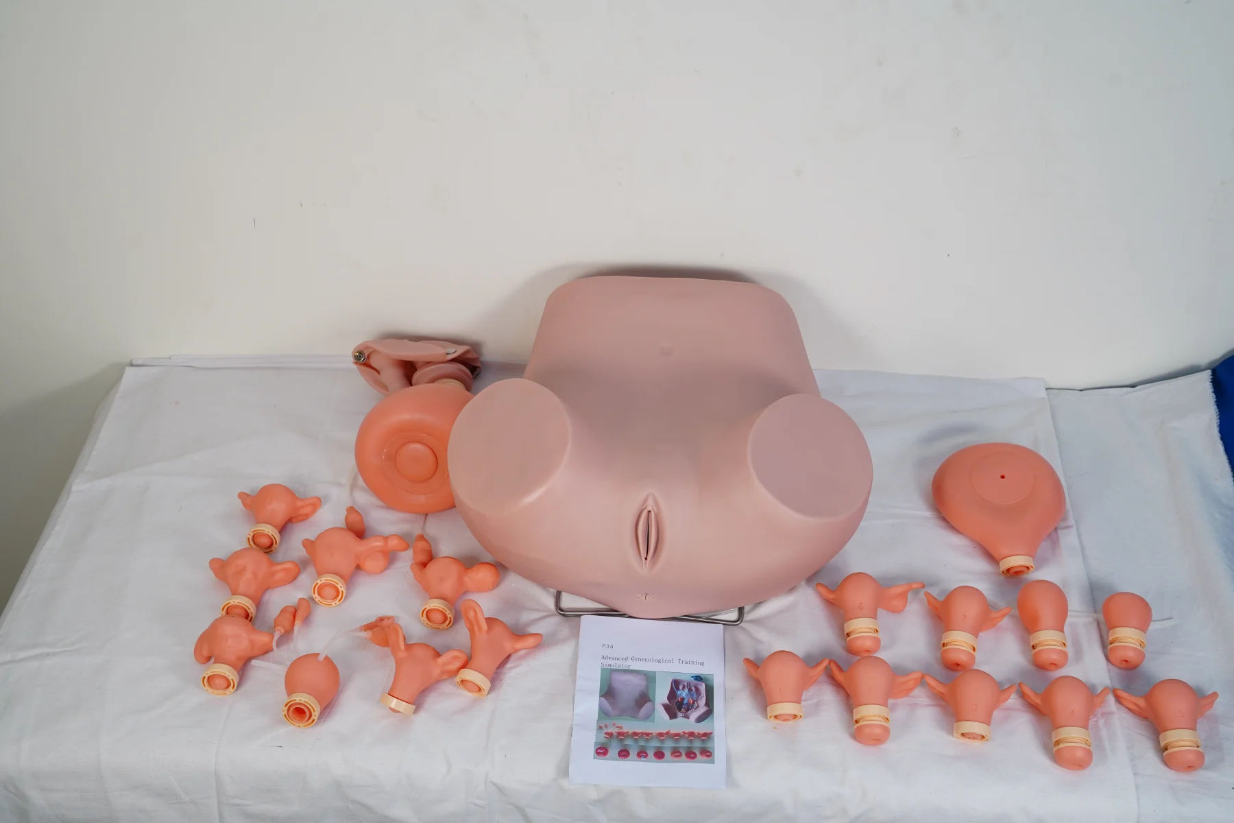 Advancd Gynecological Training Simulator