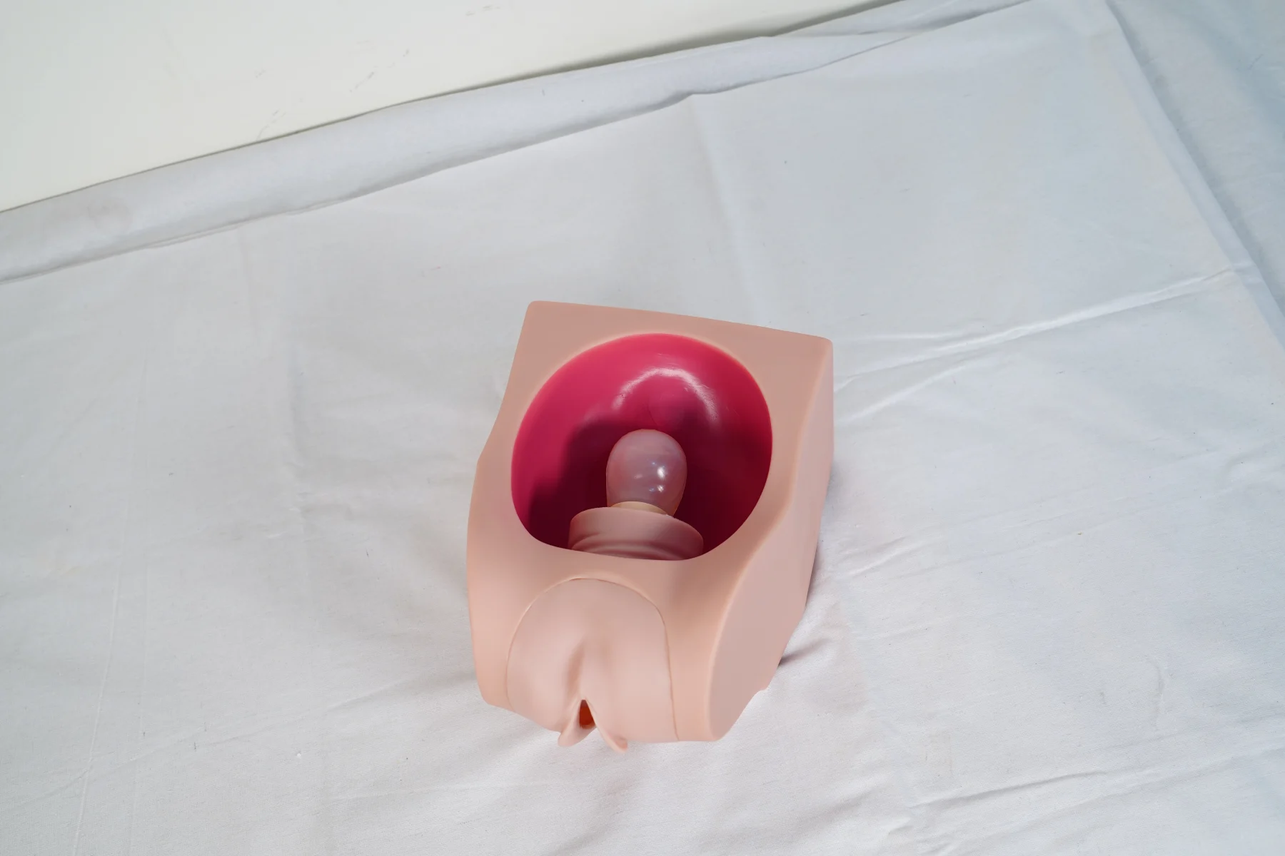 Advanced Female Contraception Practice Model thumbnail 4