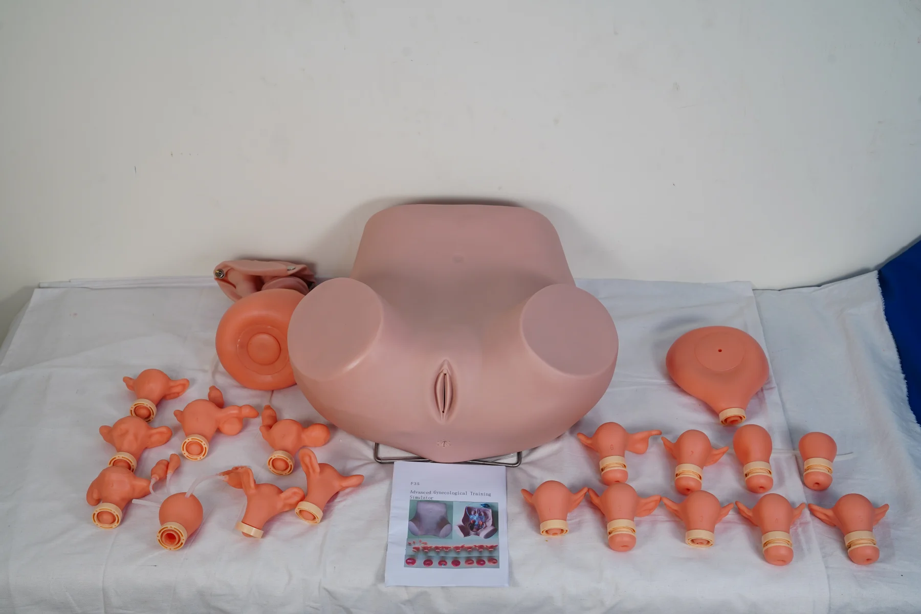 Advanced Gynecological Training Simulator