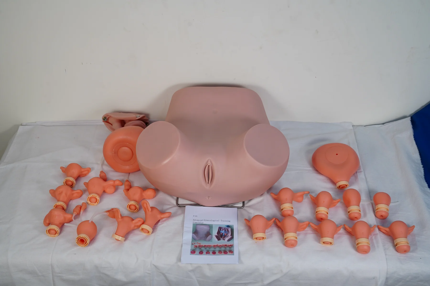 Advanced Gynecological Training Simulator thumbnail 2