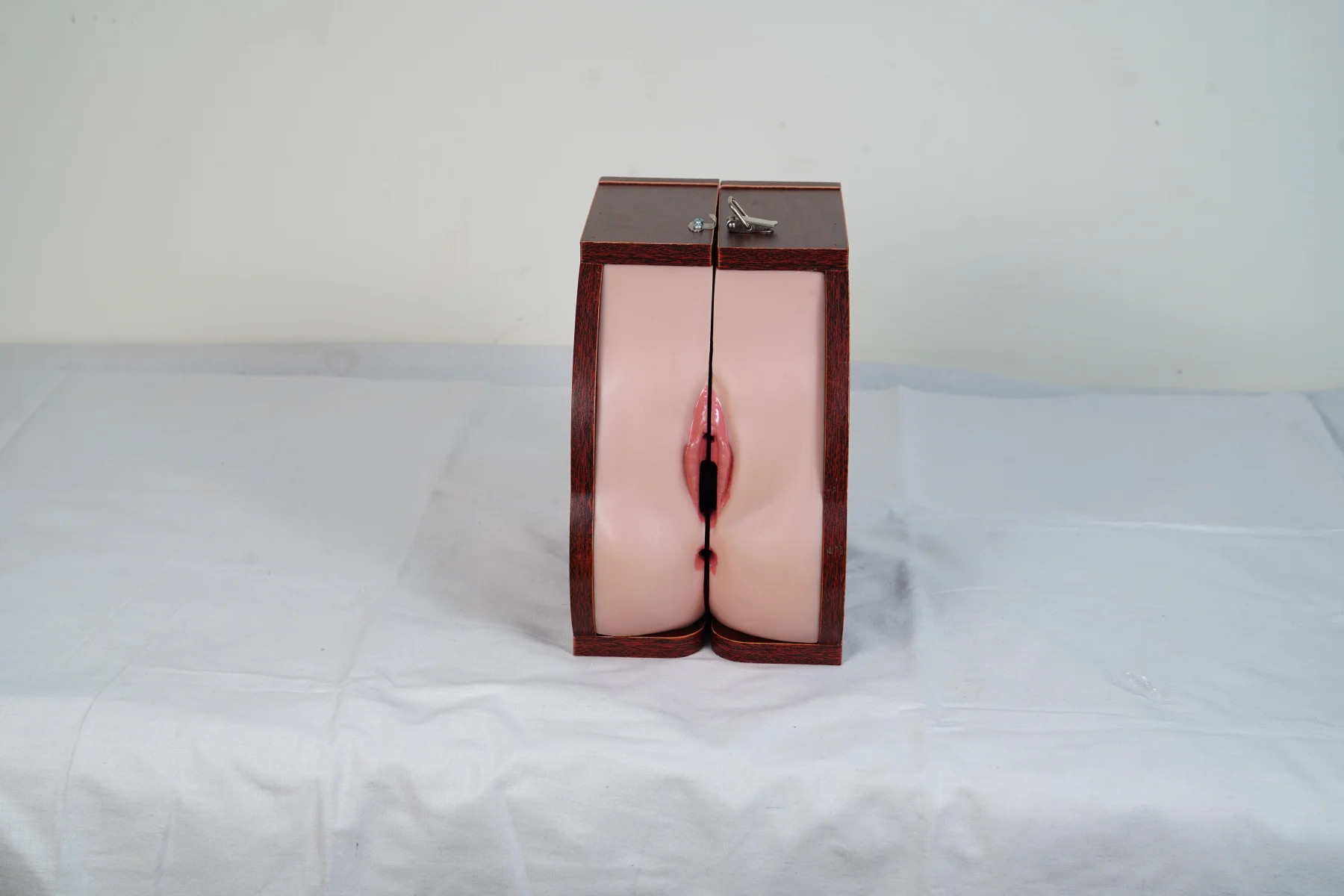 Advanced IUD Training Model thumbnail 6