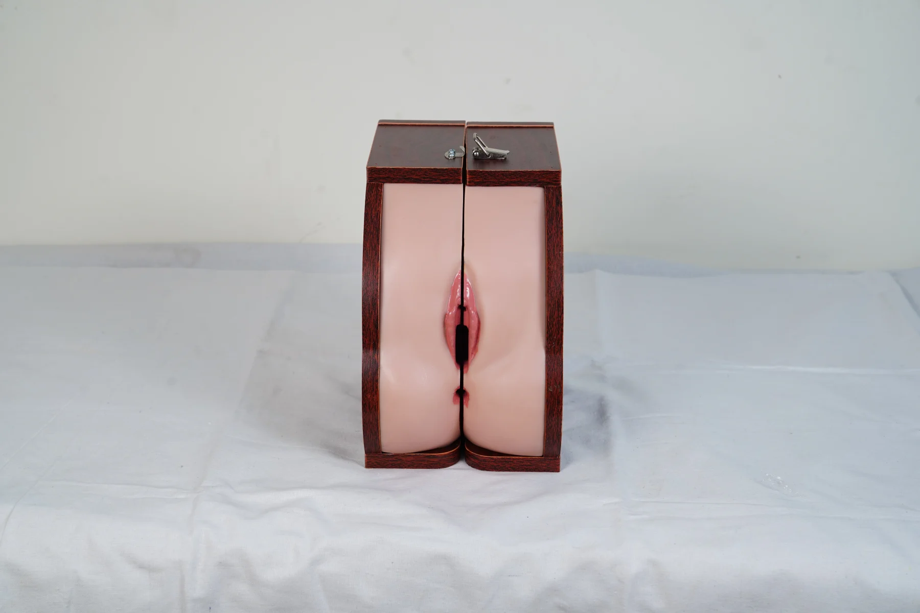 Advanced IUD Training Model