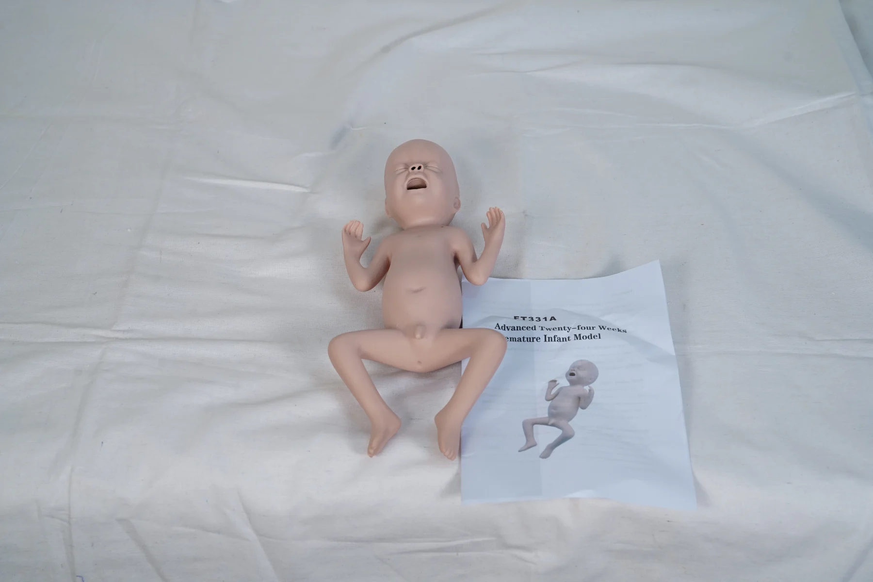 Advanced Twenty Four Weeks Premature Infant Model thumbnail 5