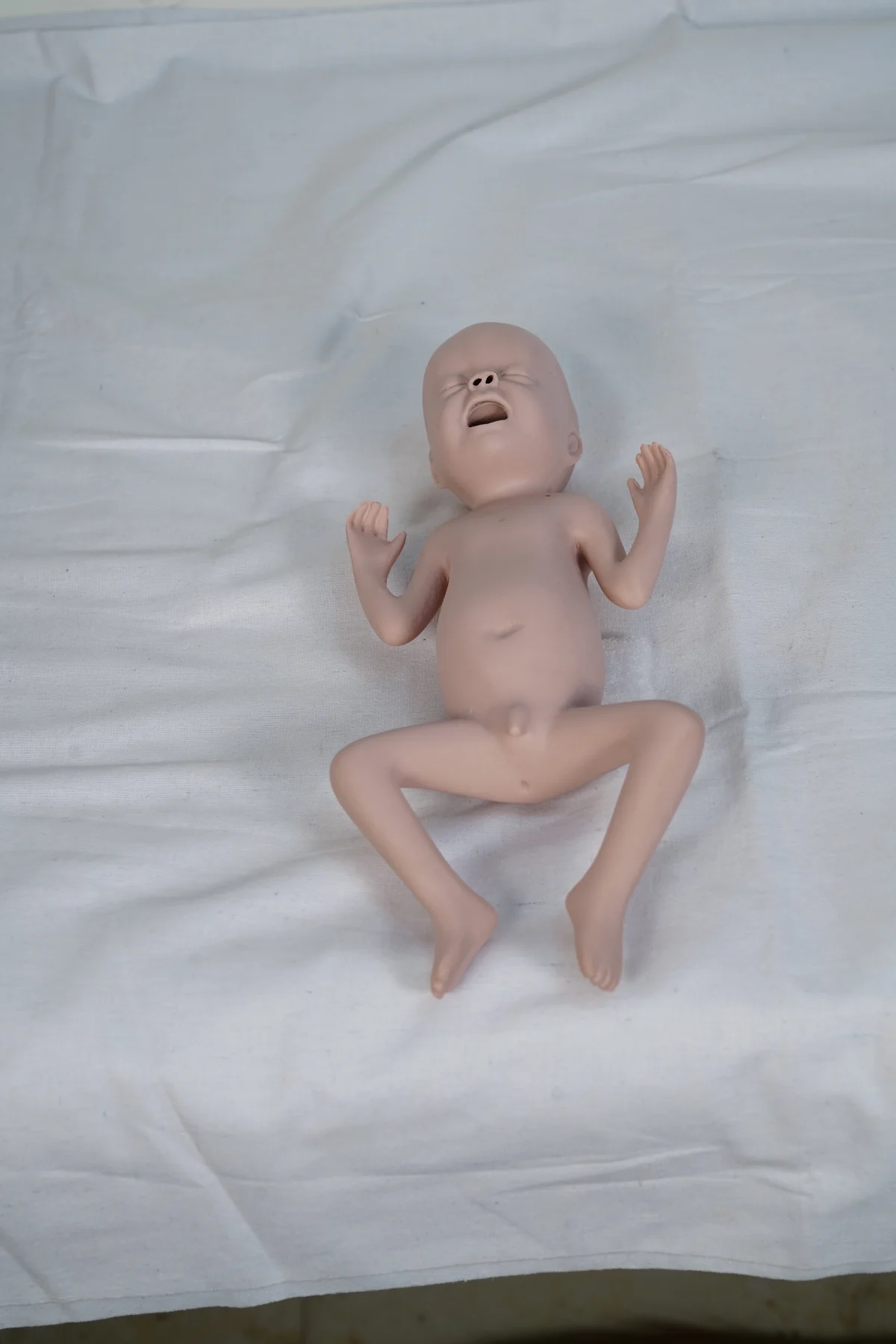 Advanced Twenty Four Weeks Premature Infant Model thumbnail 3