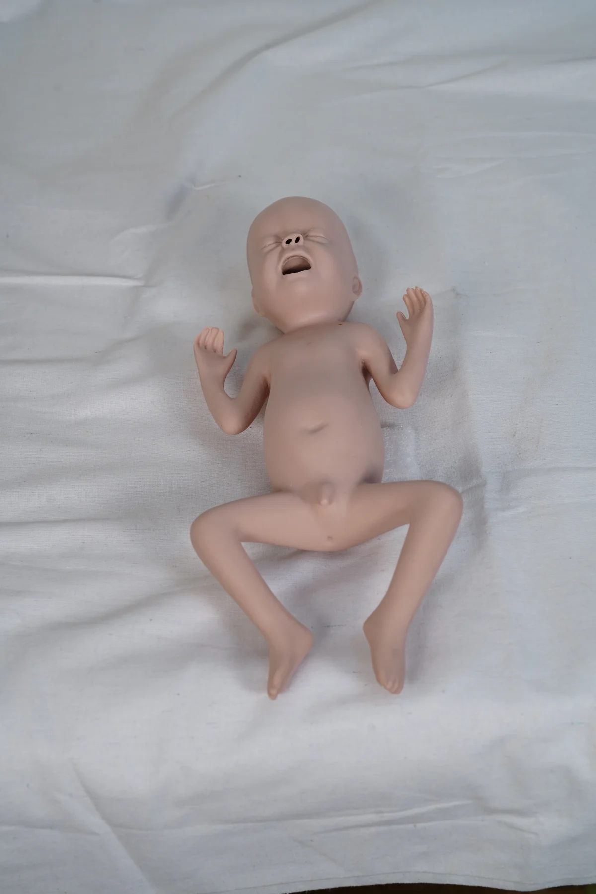 Advanced Twenty Four Weeks Premature Infant Model thumbnail 4