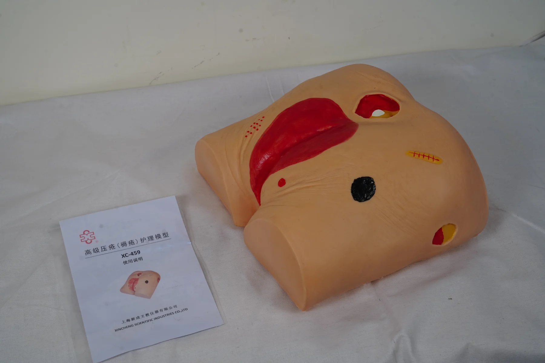 Decubitus Ulcer Care Model