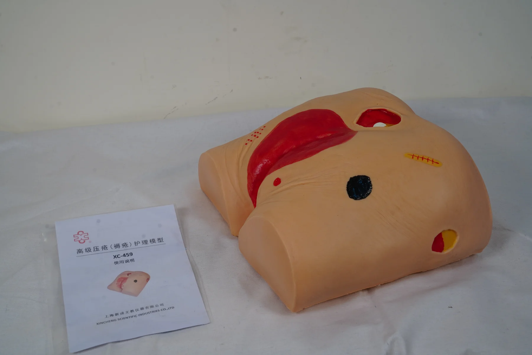 Decubitus Ulcer Care Model thumbnail 2