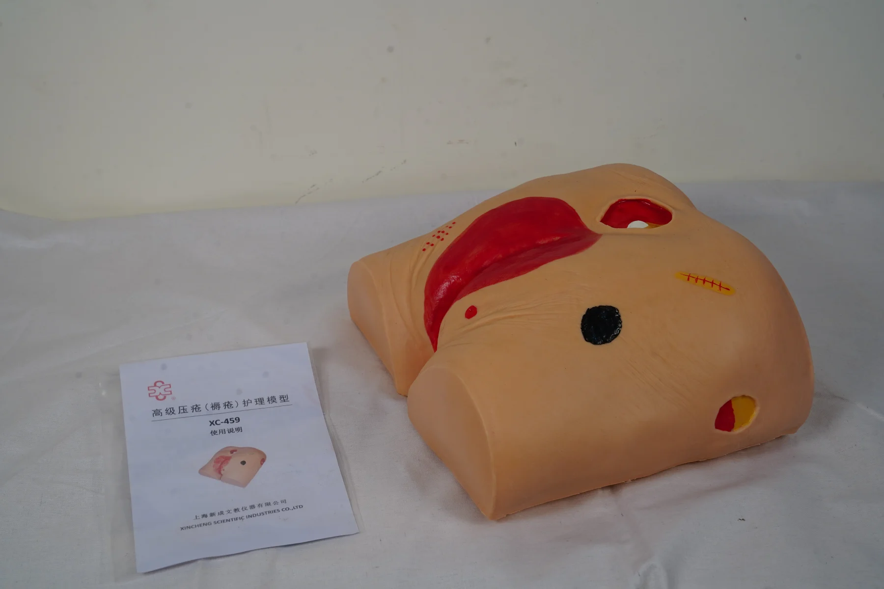 Decubitus Ulcer Care Model thumbnail 3