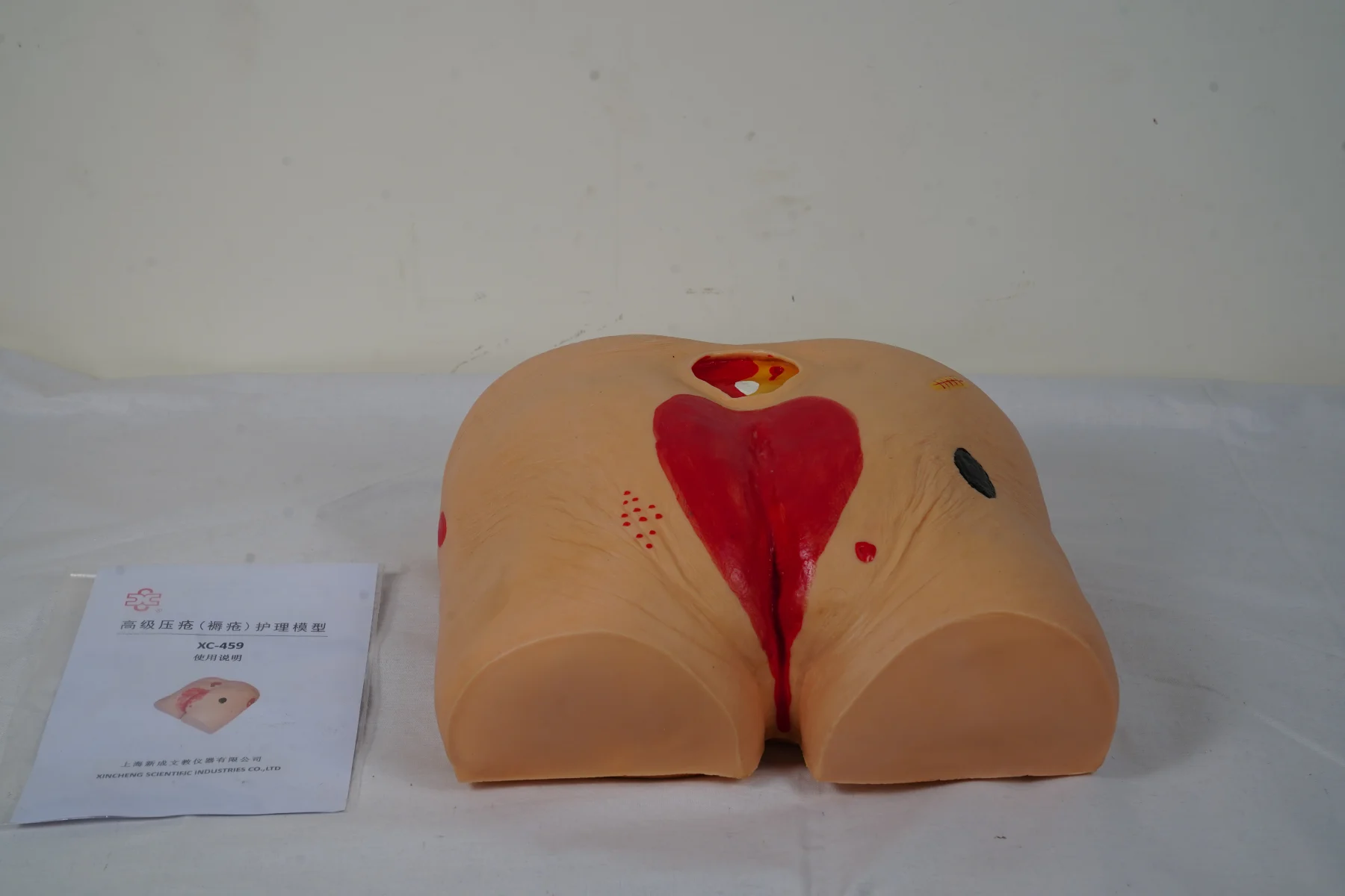 Decubitus Ulcer Care Model thumbnail 4