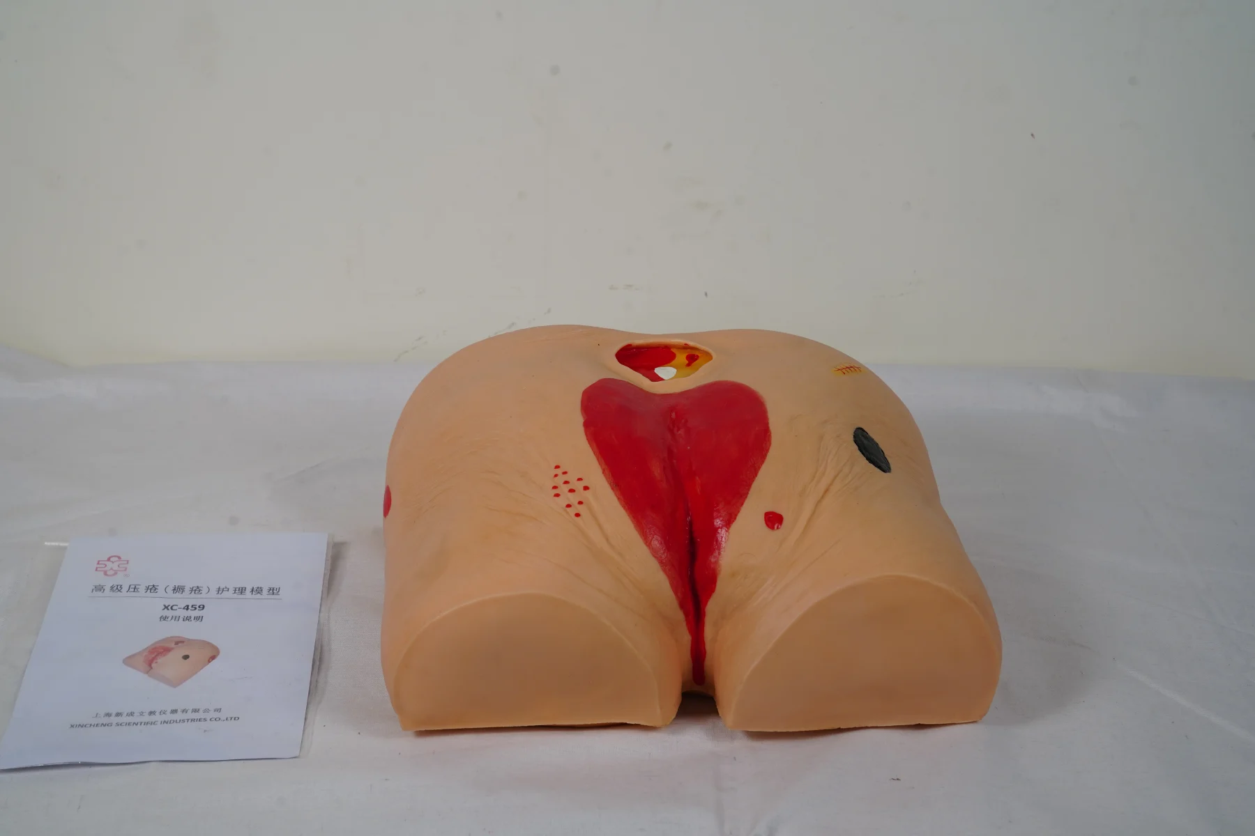 Decubitus Ulcer Care Model thumbnail 5