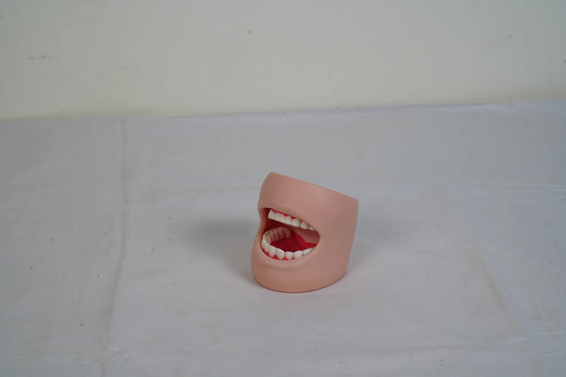 Dental Care Model With Cheek thumbnail 2