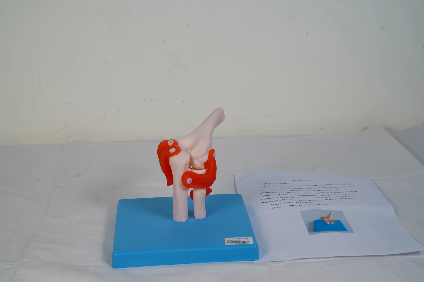 Elbow Joint thumbnail 3
