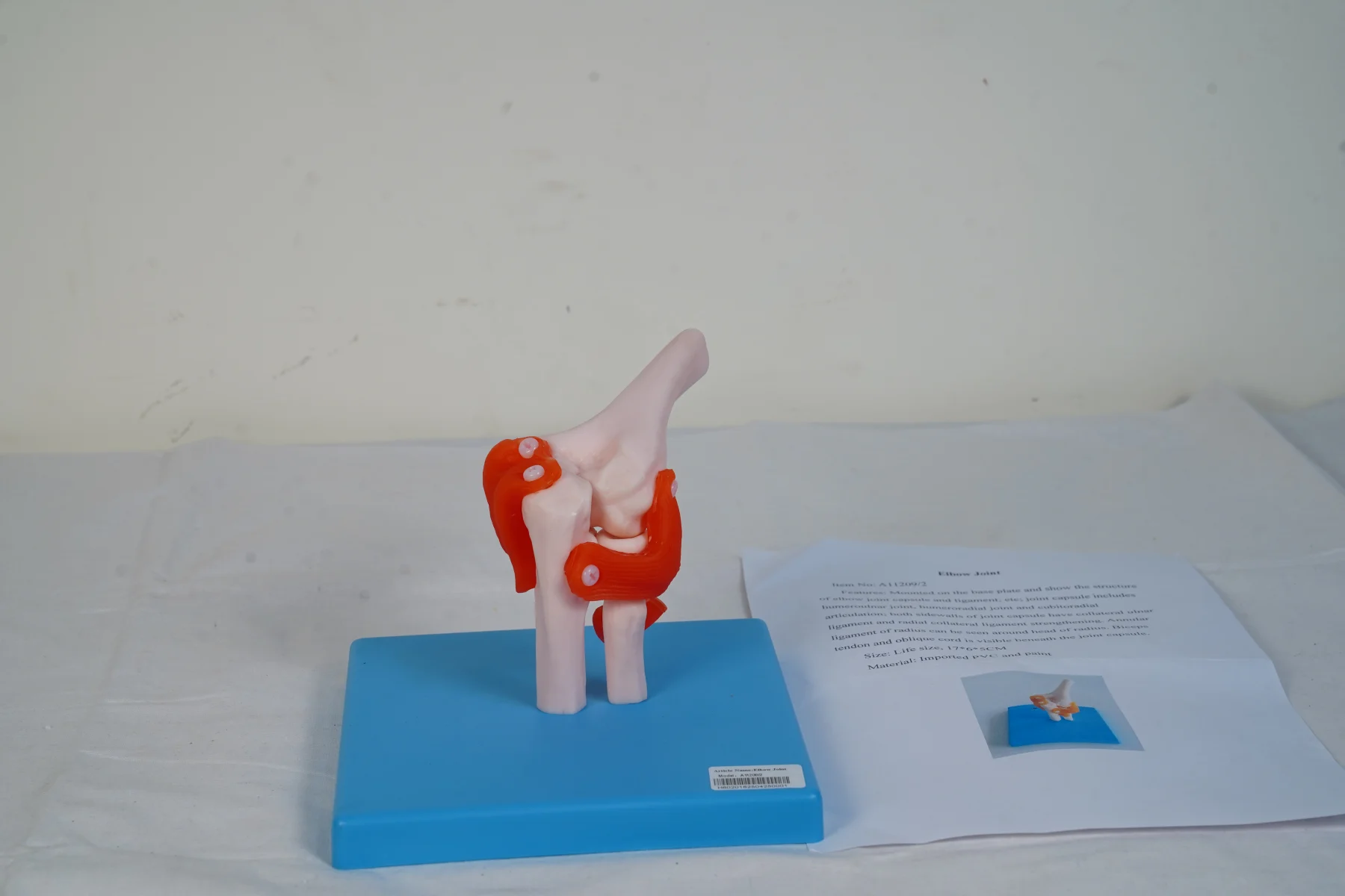 Elbow Joint