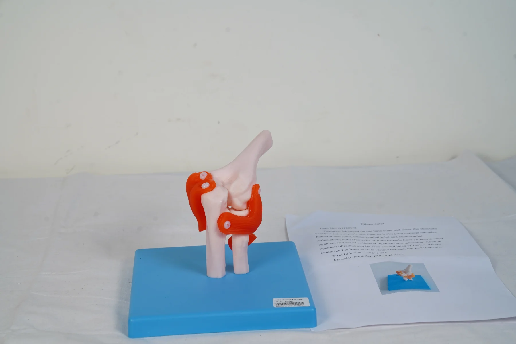 Elbow Joint thumbnail 2