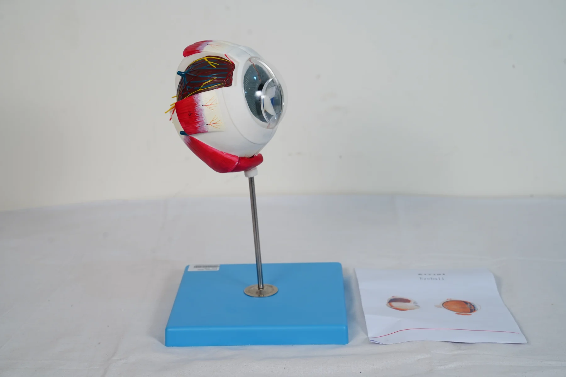 Eyeball thumbnail 3