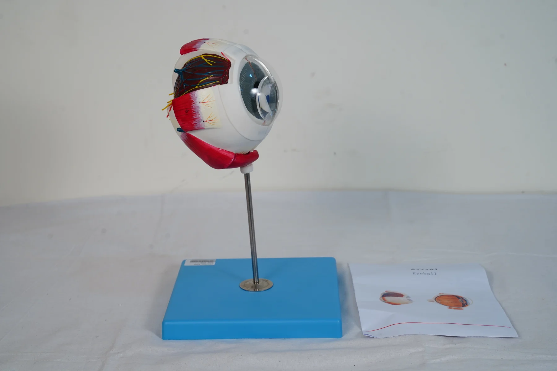 Eyeball