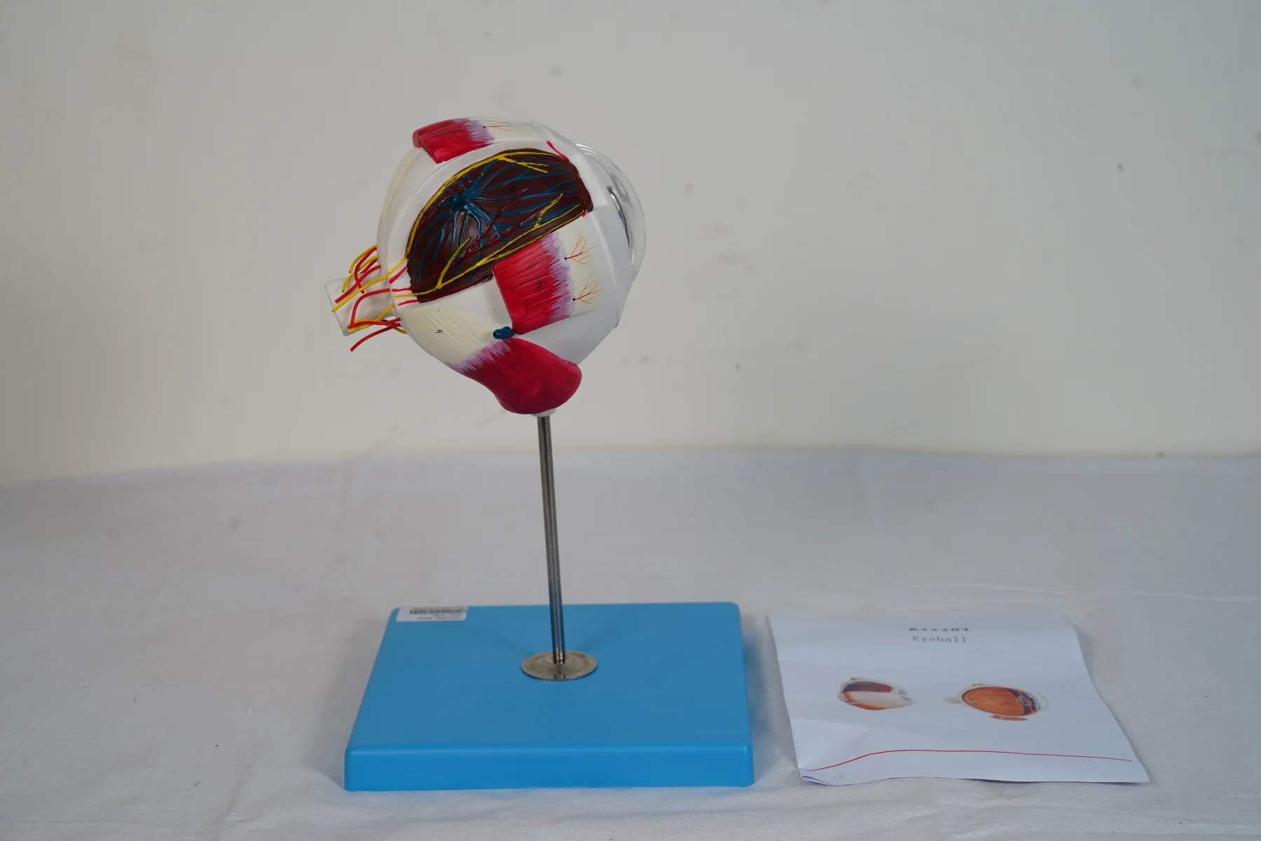 Eyeball thumbnail 2