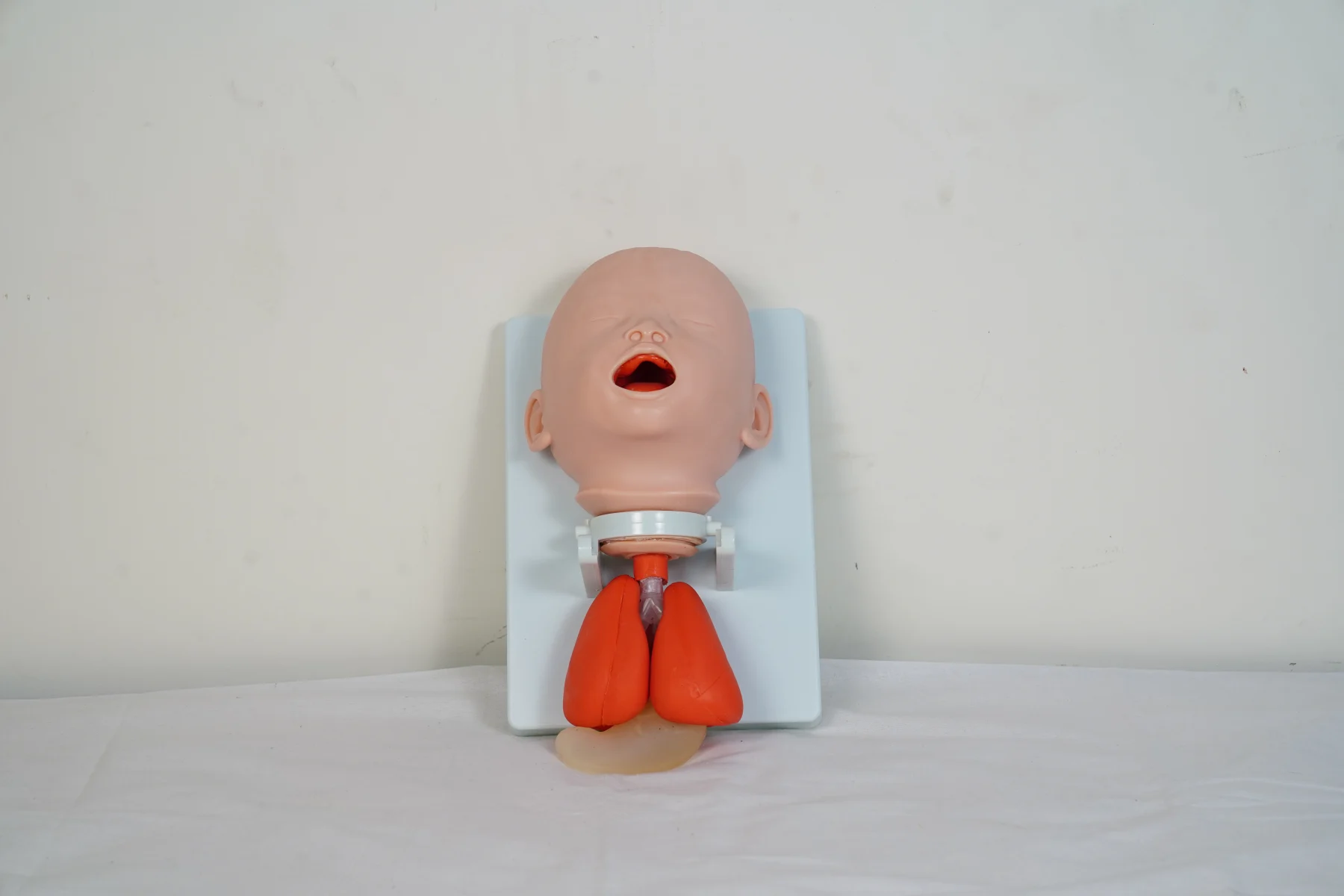 Infant Intubation Training Model