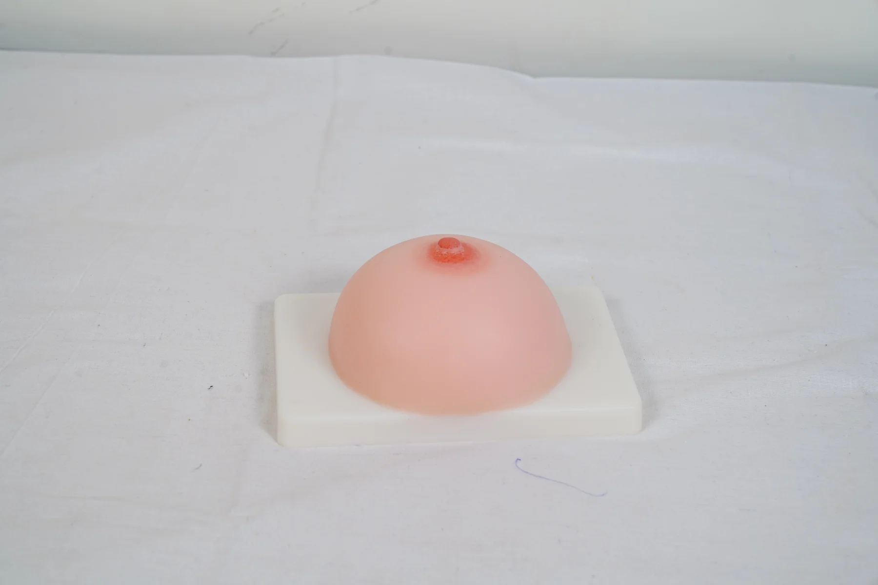Lactation Training Model thumbnail 5
