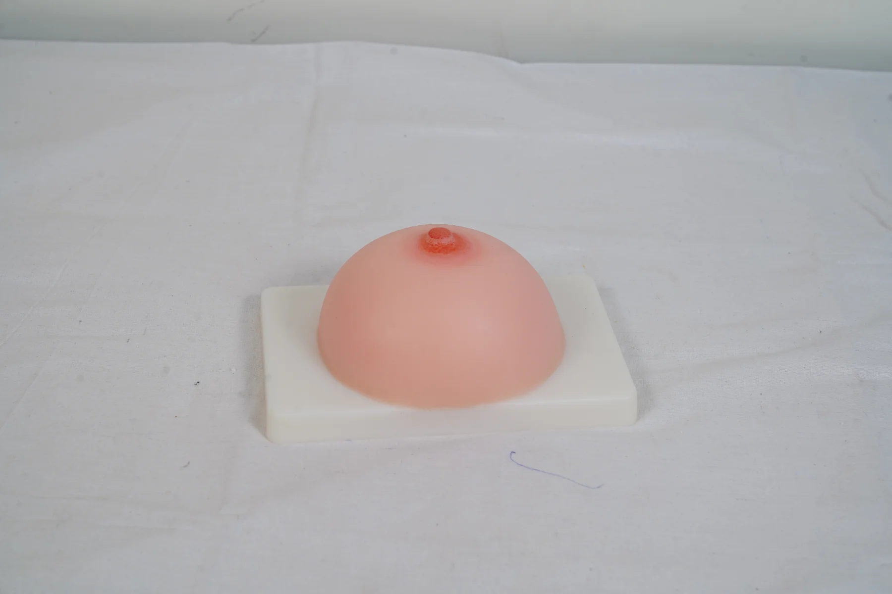 Lactation Training Model