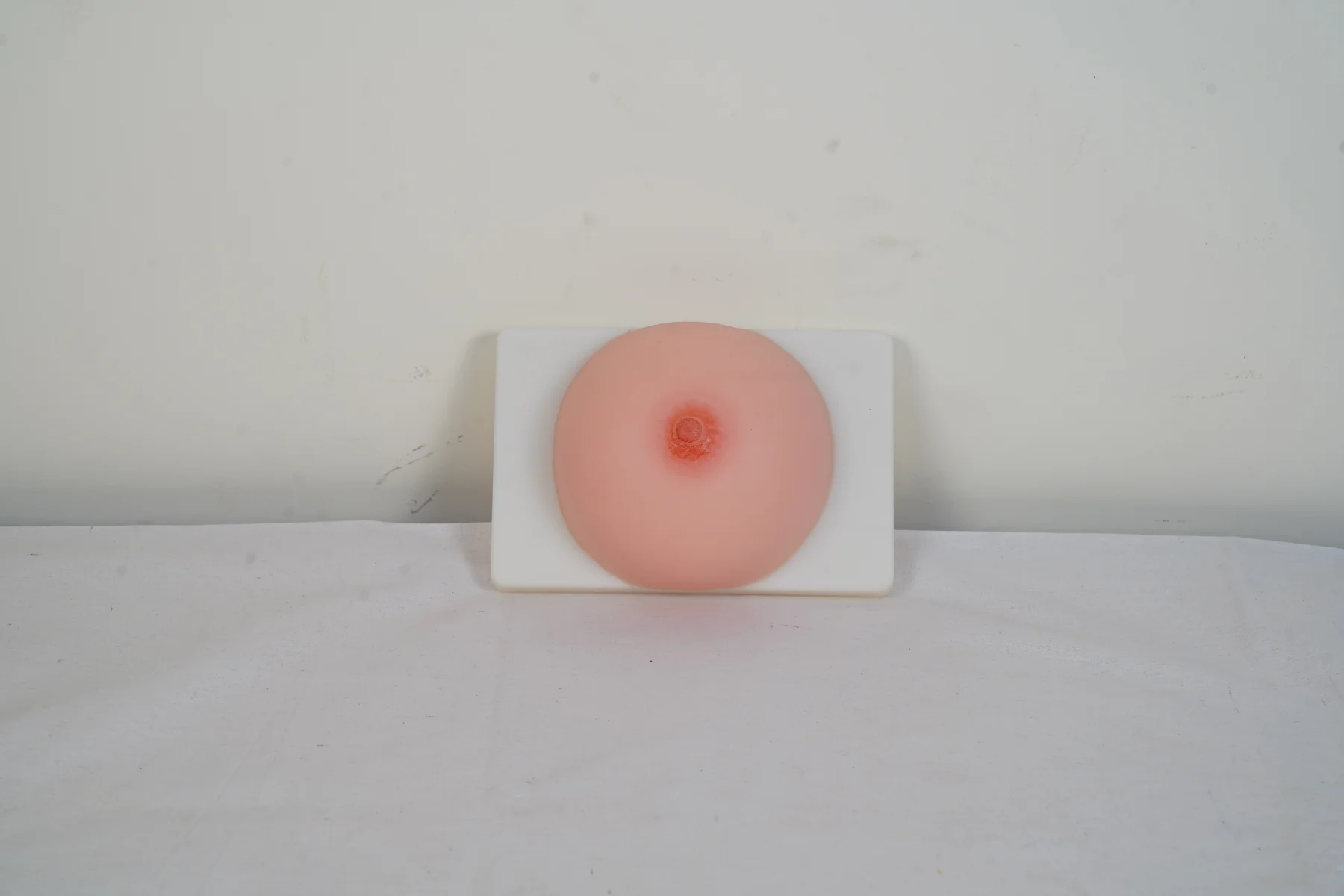 Lactation Training Model thumbnail 2