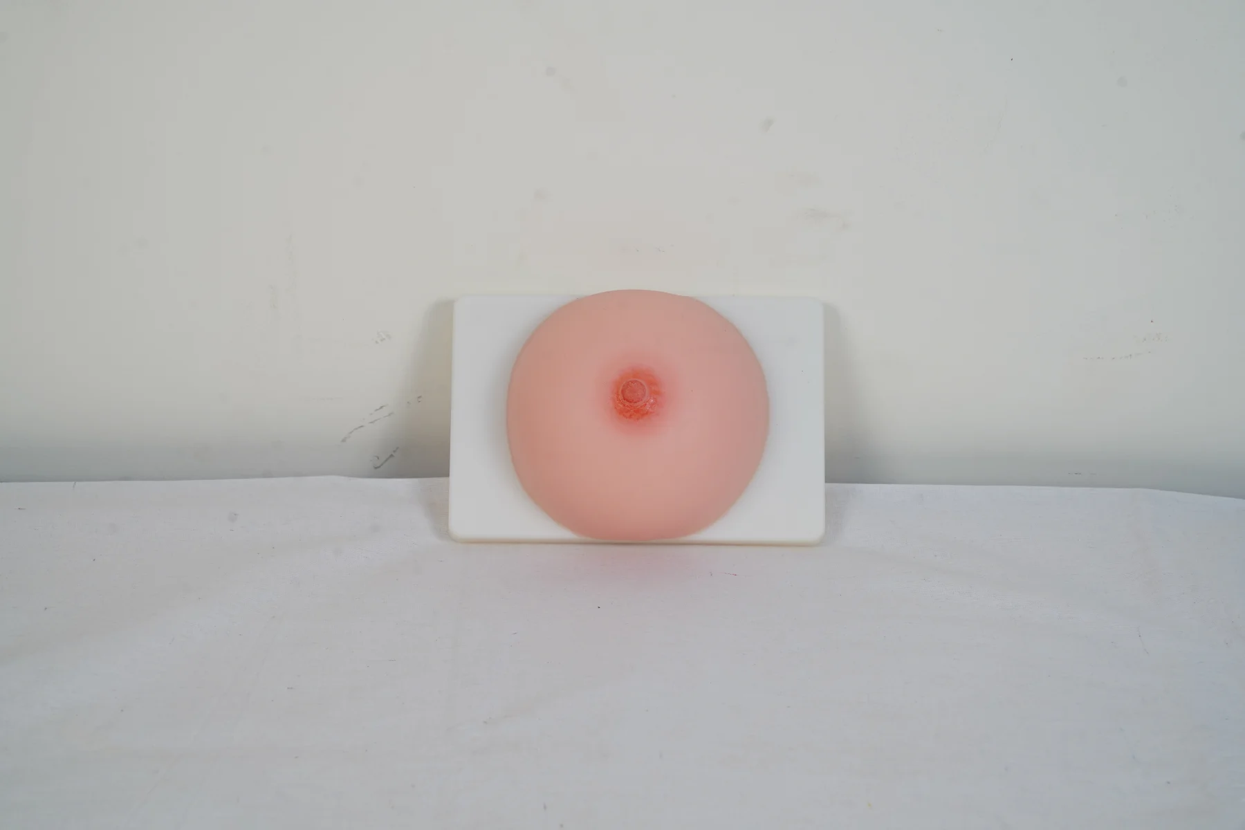 Lactation Training Model thumbnail 3