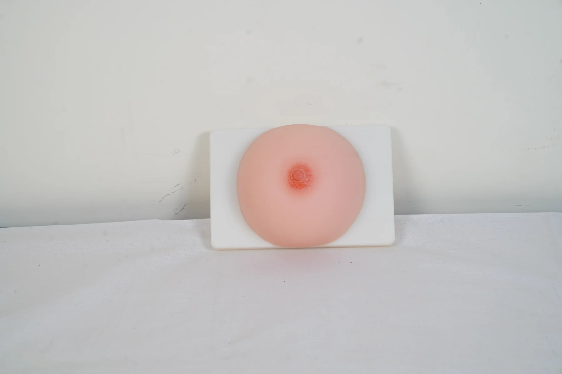 Lactation Training Model thumbnail 4