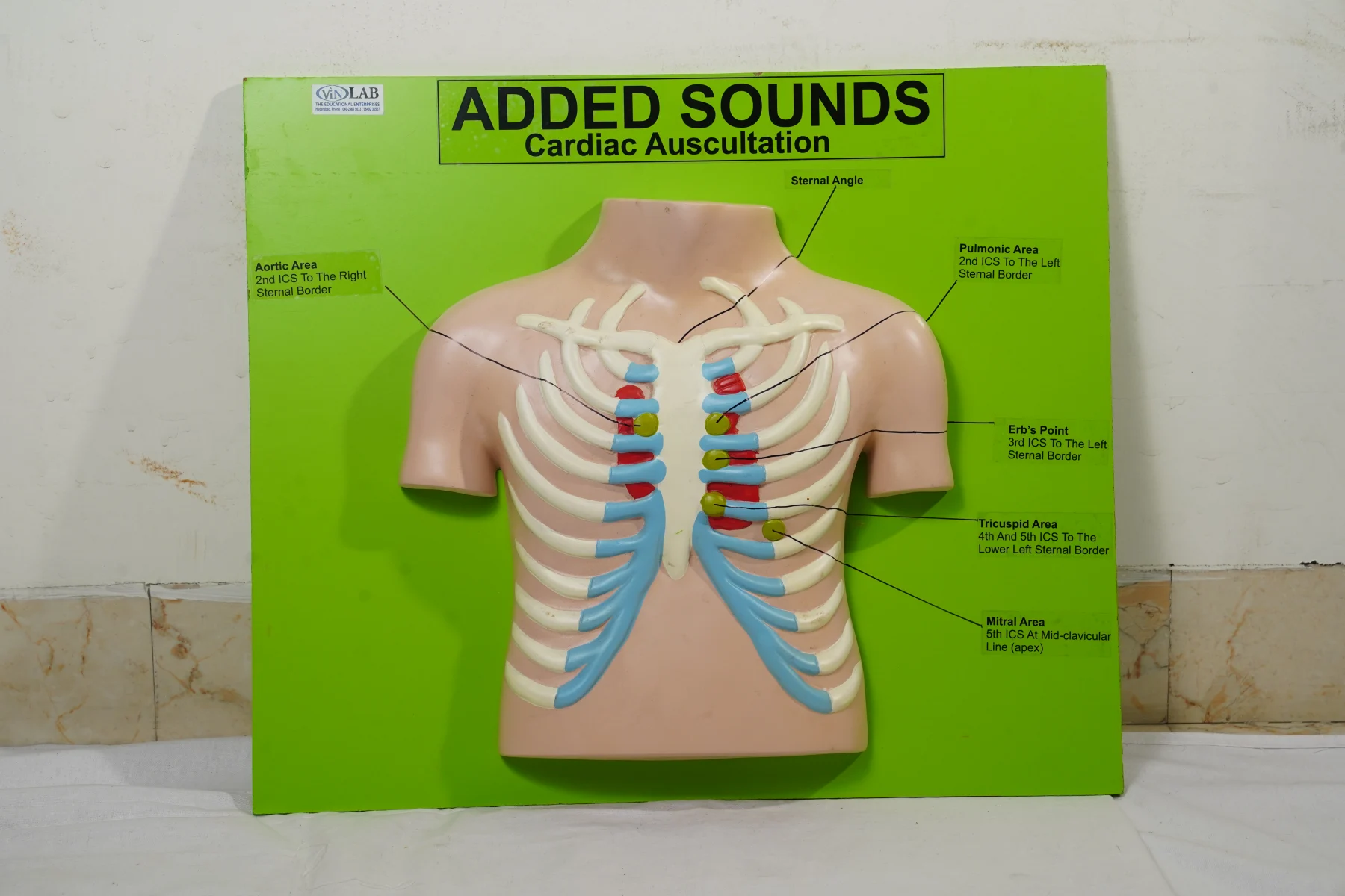 Added Sounds thumbnail 2