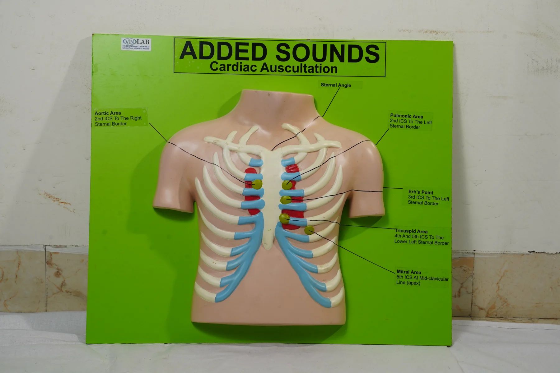 Added Sounds