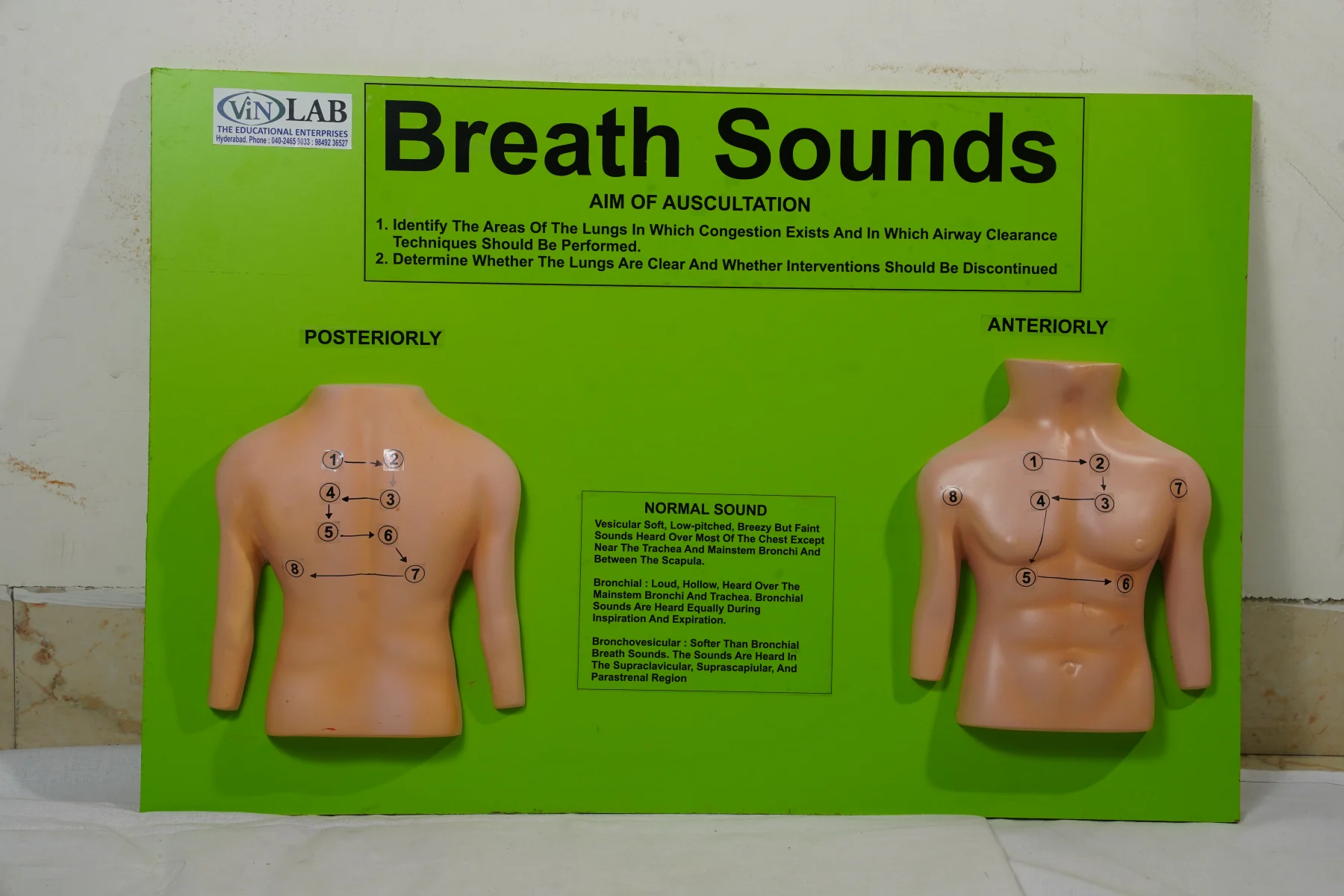 Breath Sounds thumbnail 2