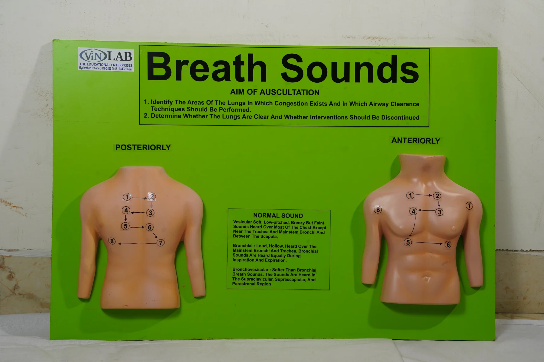 Breath Sounds