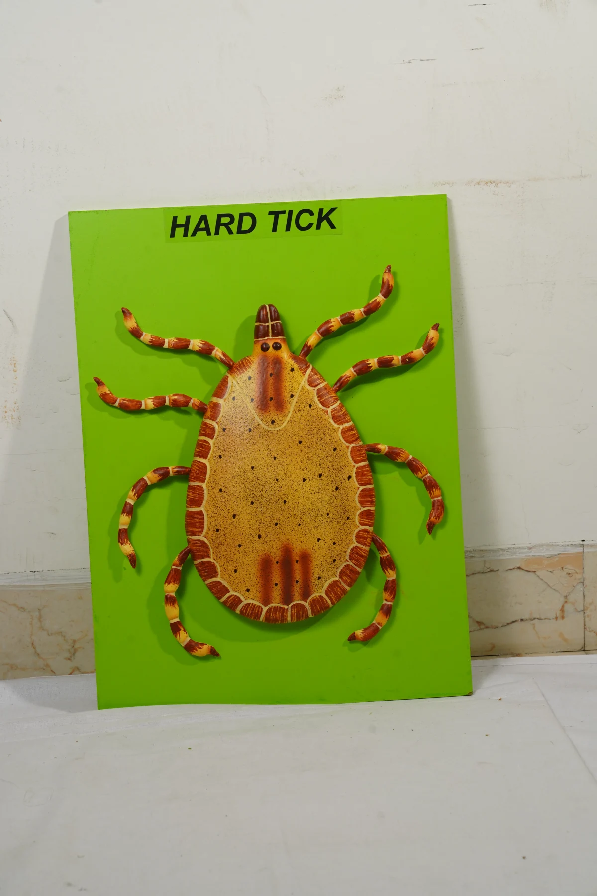 Hard Tick thumbnail 2