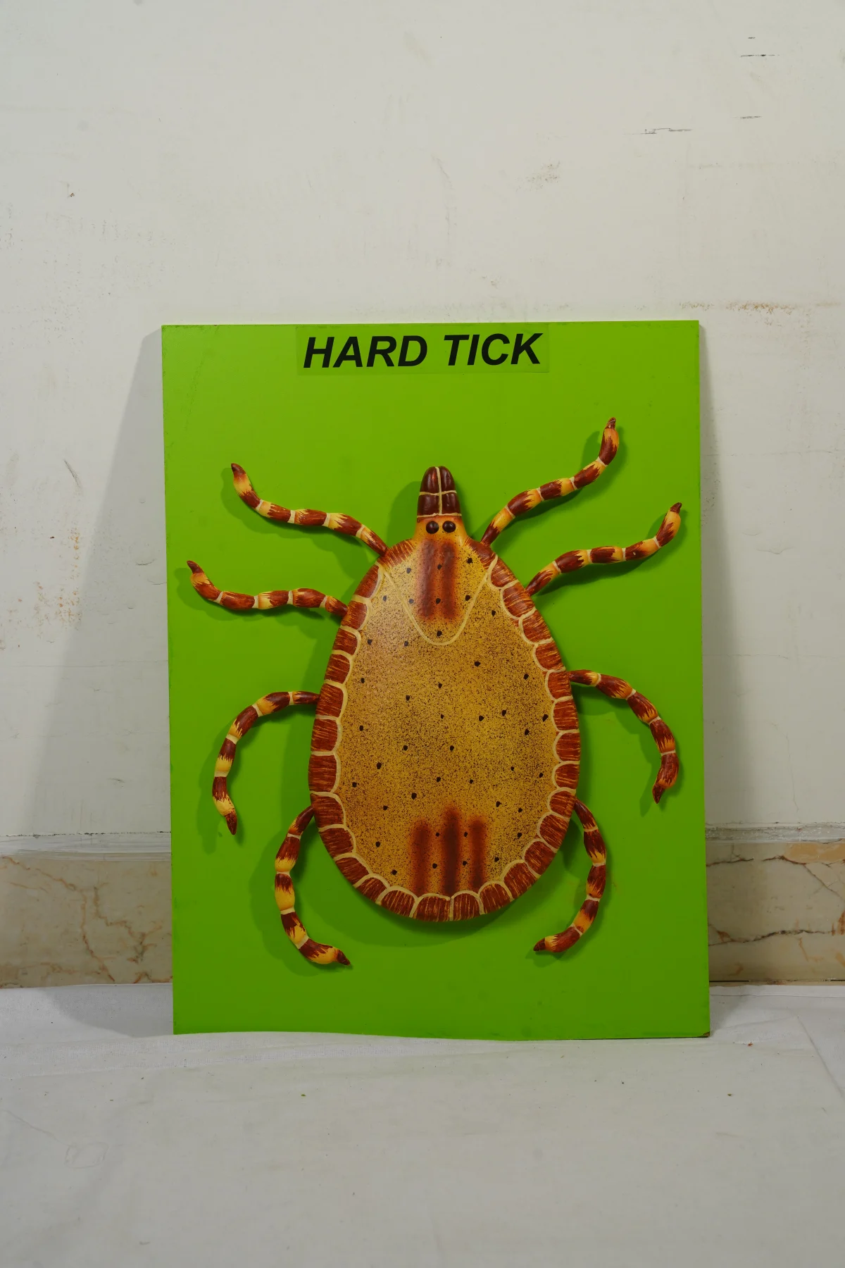 Hard Tick