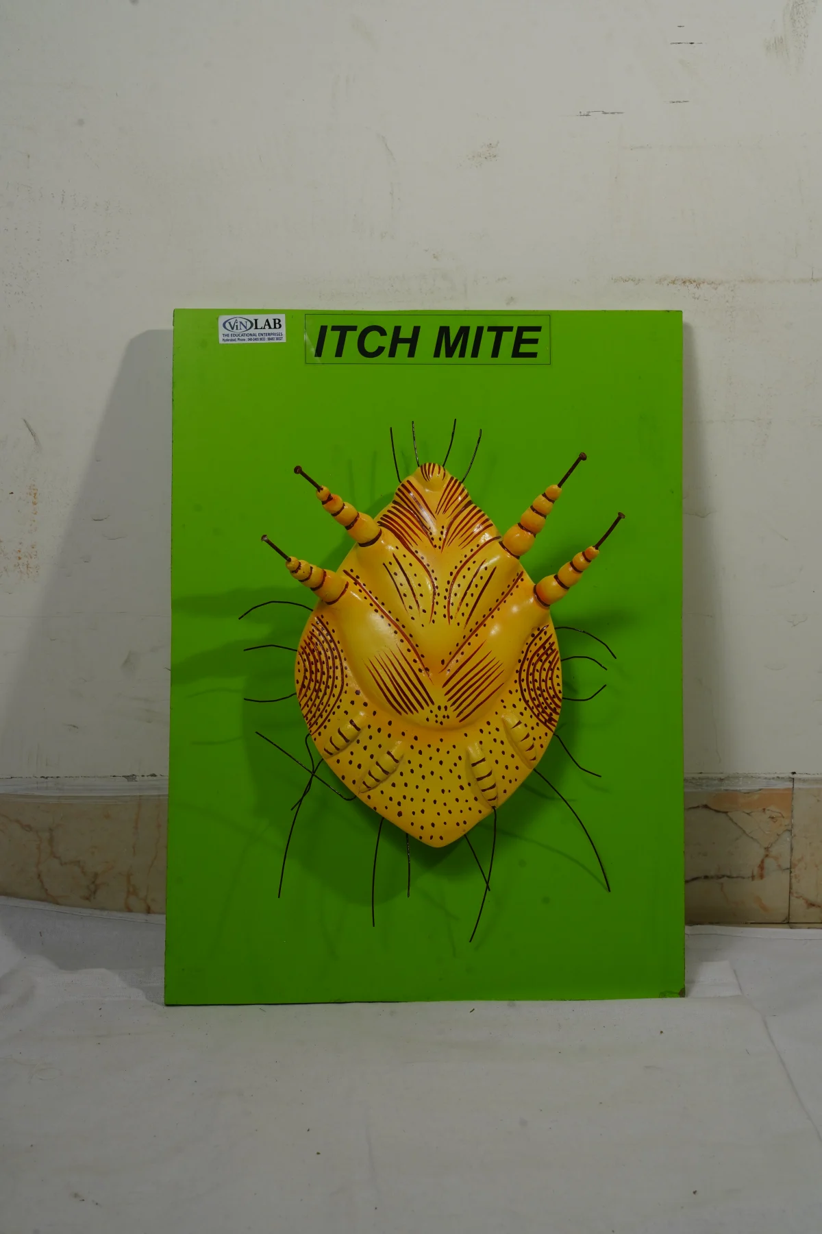 Itch Mite thumbnail 3