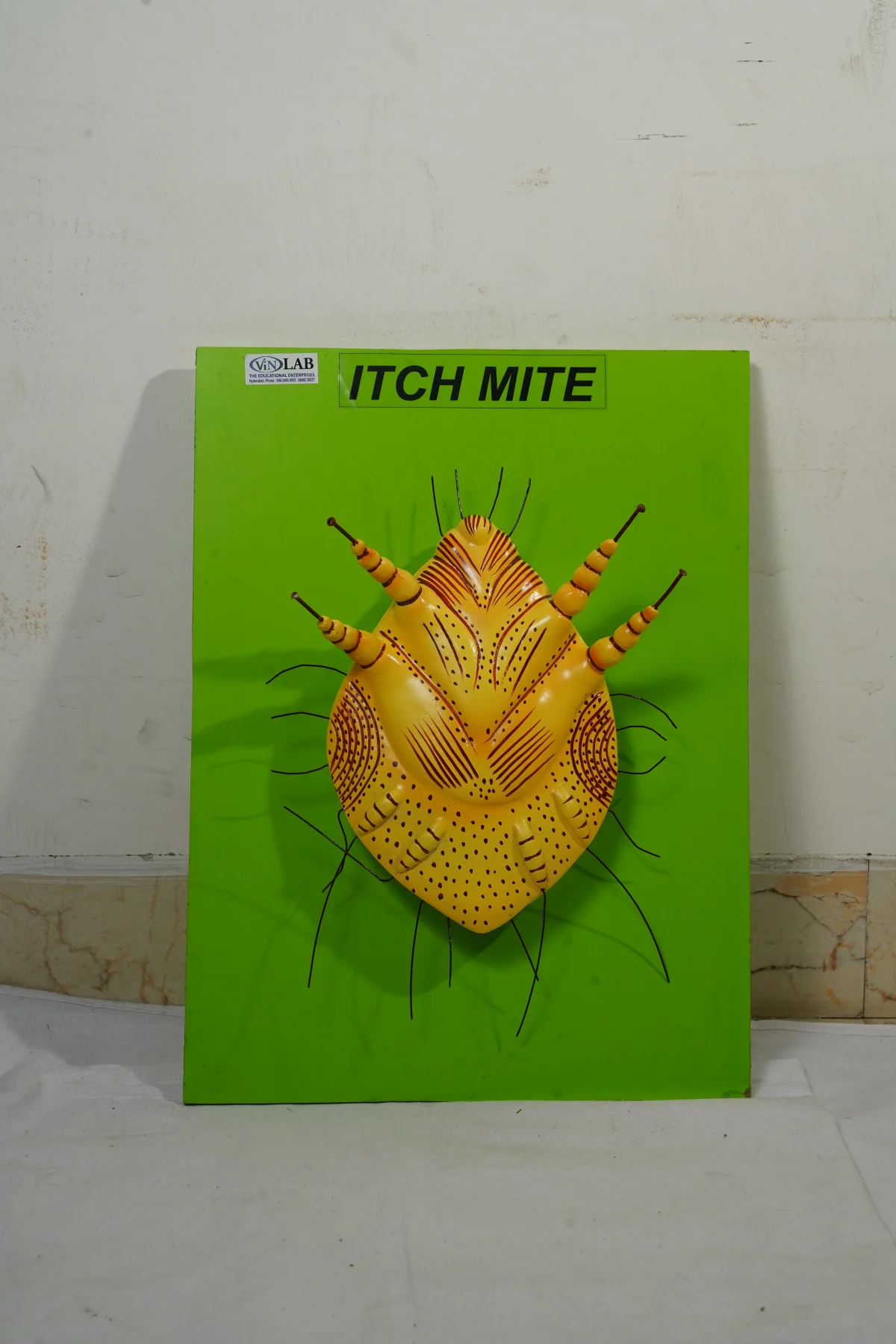 Itch Mite