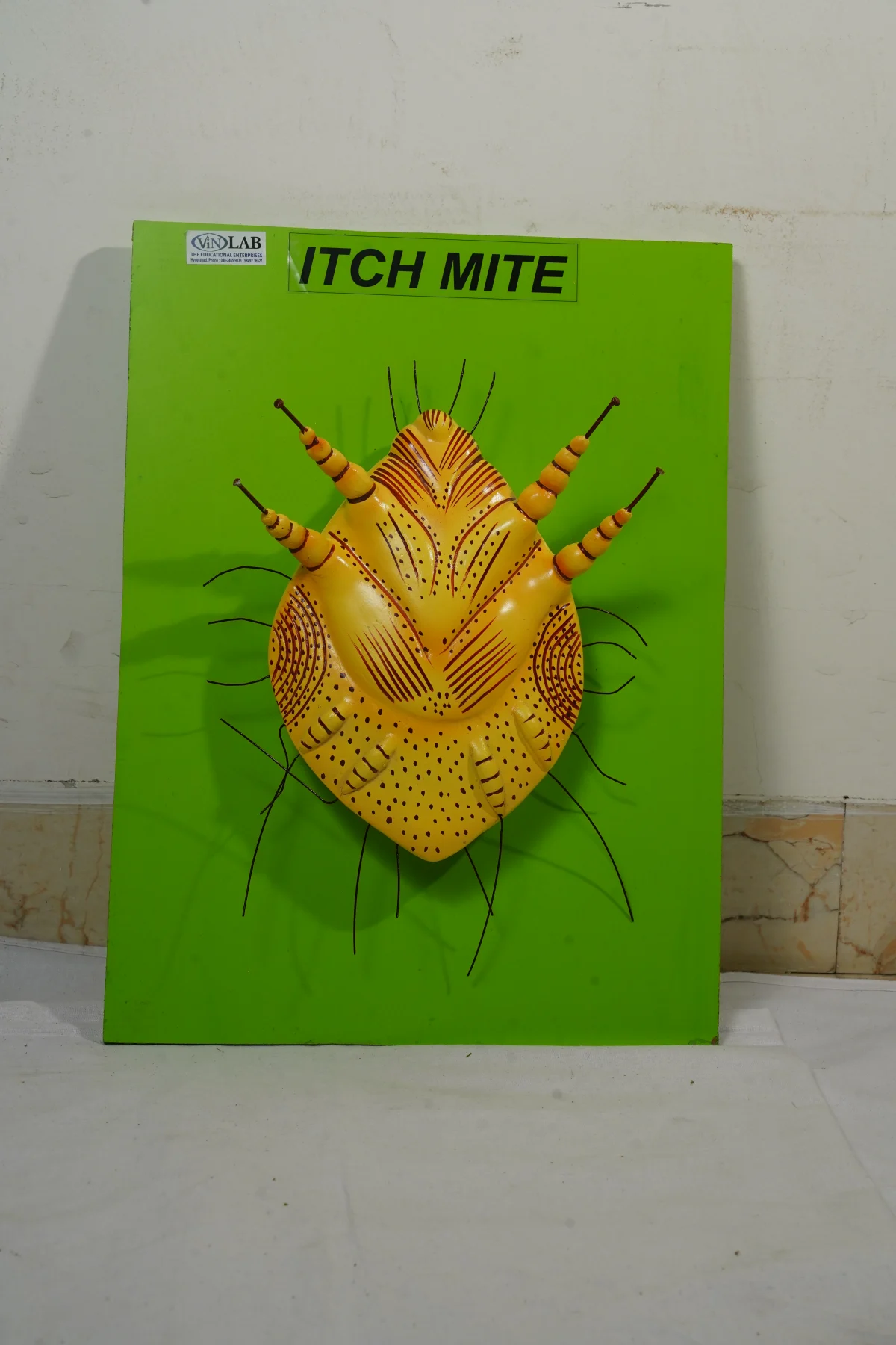 Itch Mite thumbnail 2