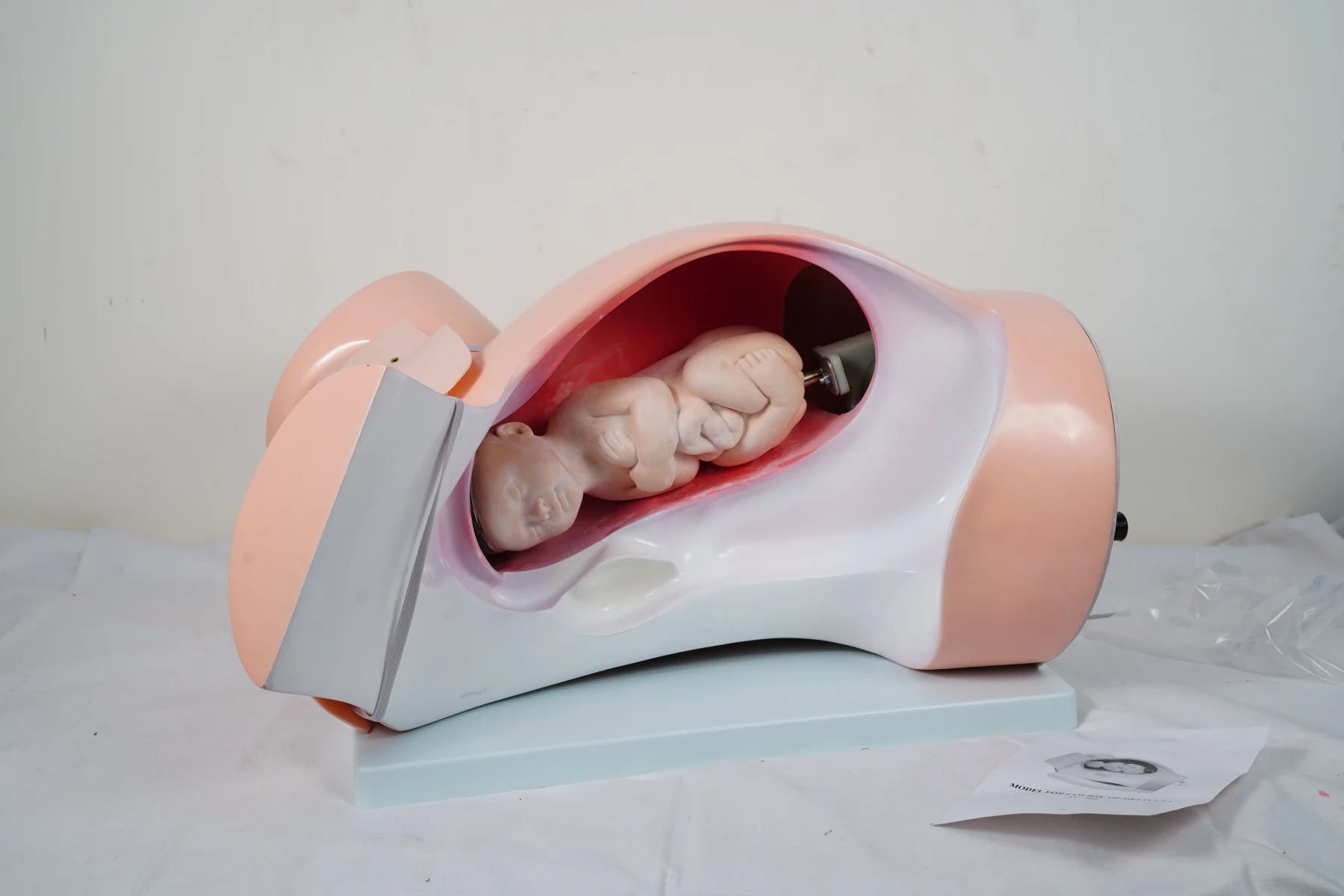 Model For Course of Delivery thumbnail 7