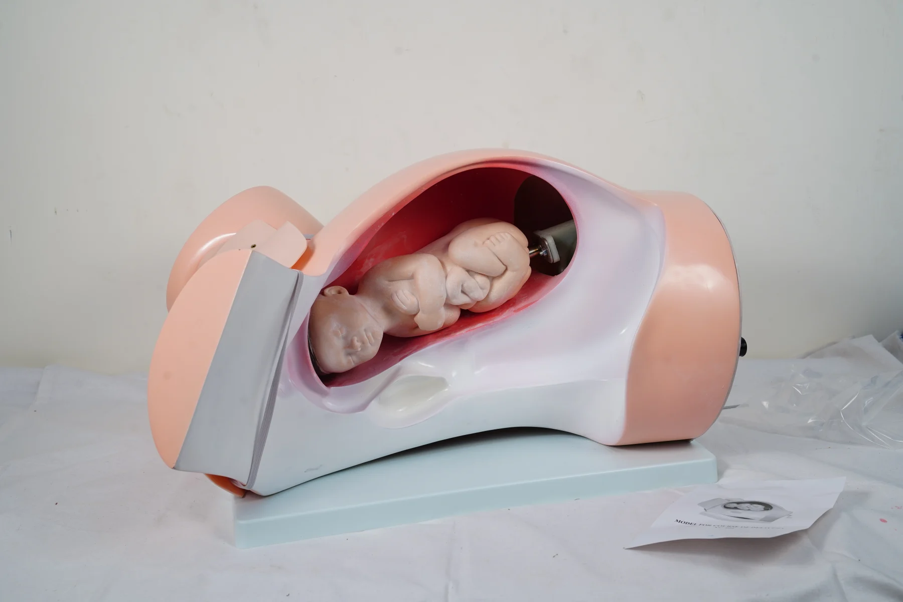 Model For Course of Delivery