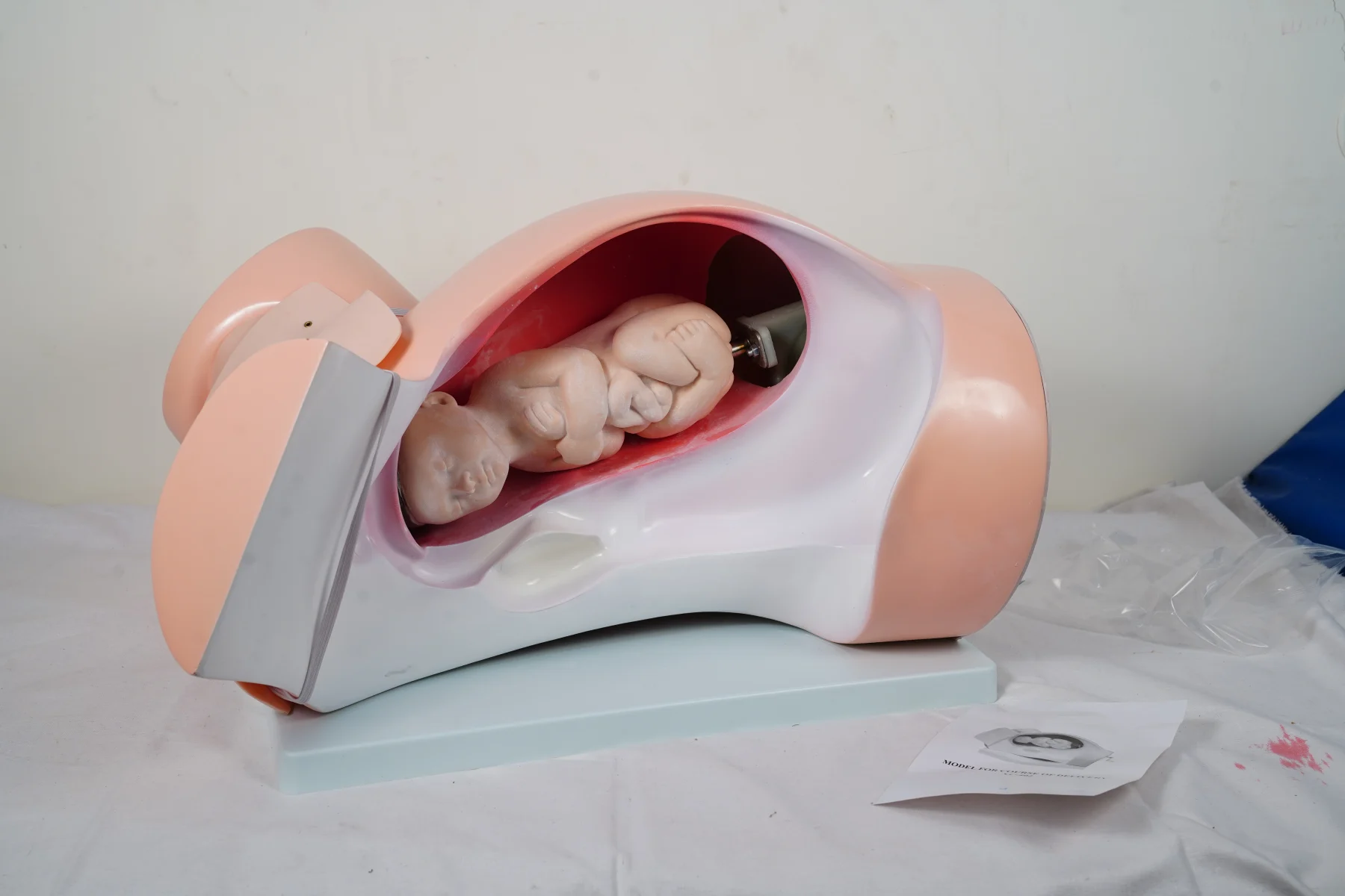 Model For Course of Delivery thumbnail 2