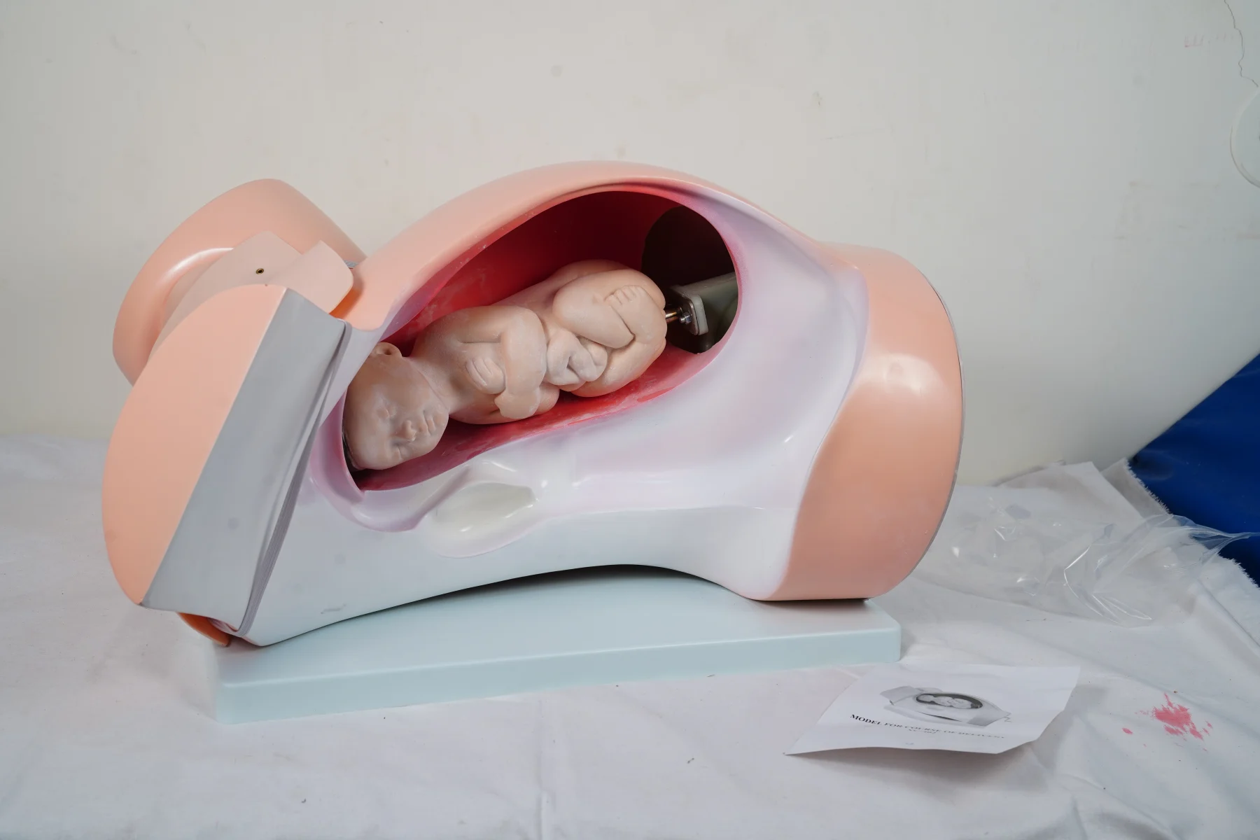 Model For Course of Delivery thumbnail 3