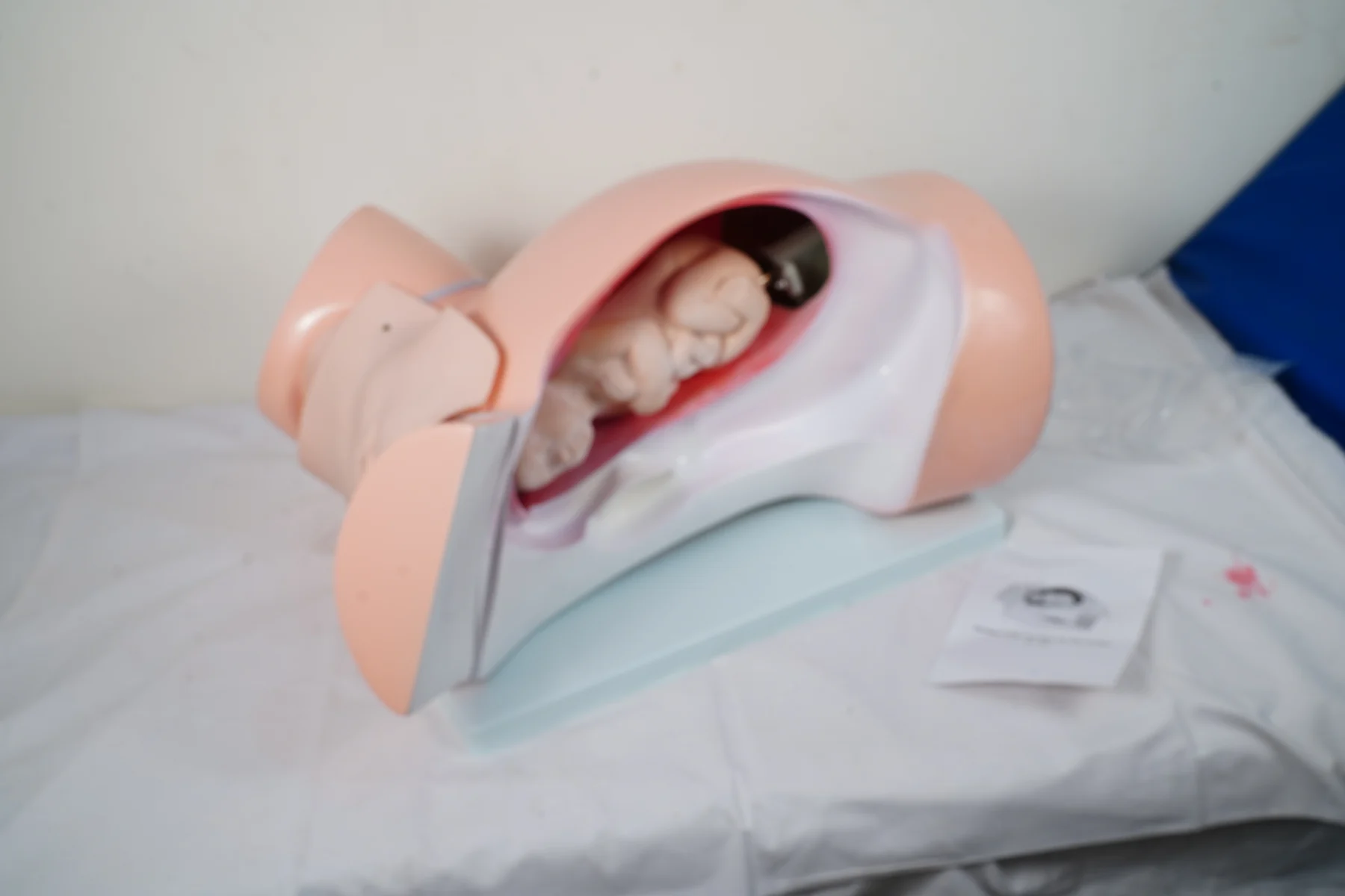 Model For Course of Delivery thumbnail 4