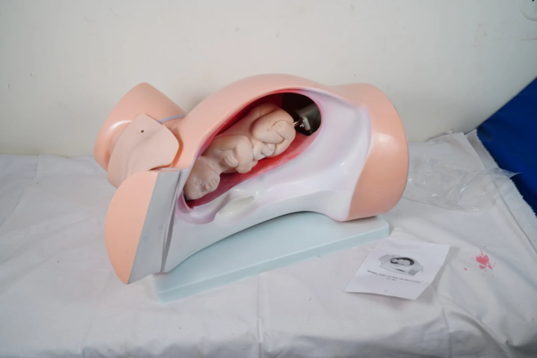 Model For Course of Delivery thumbnail 5