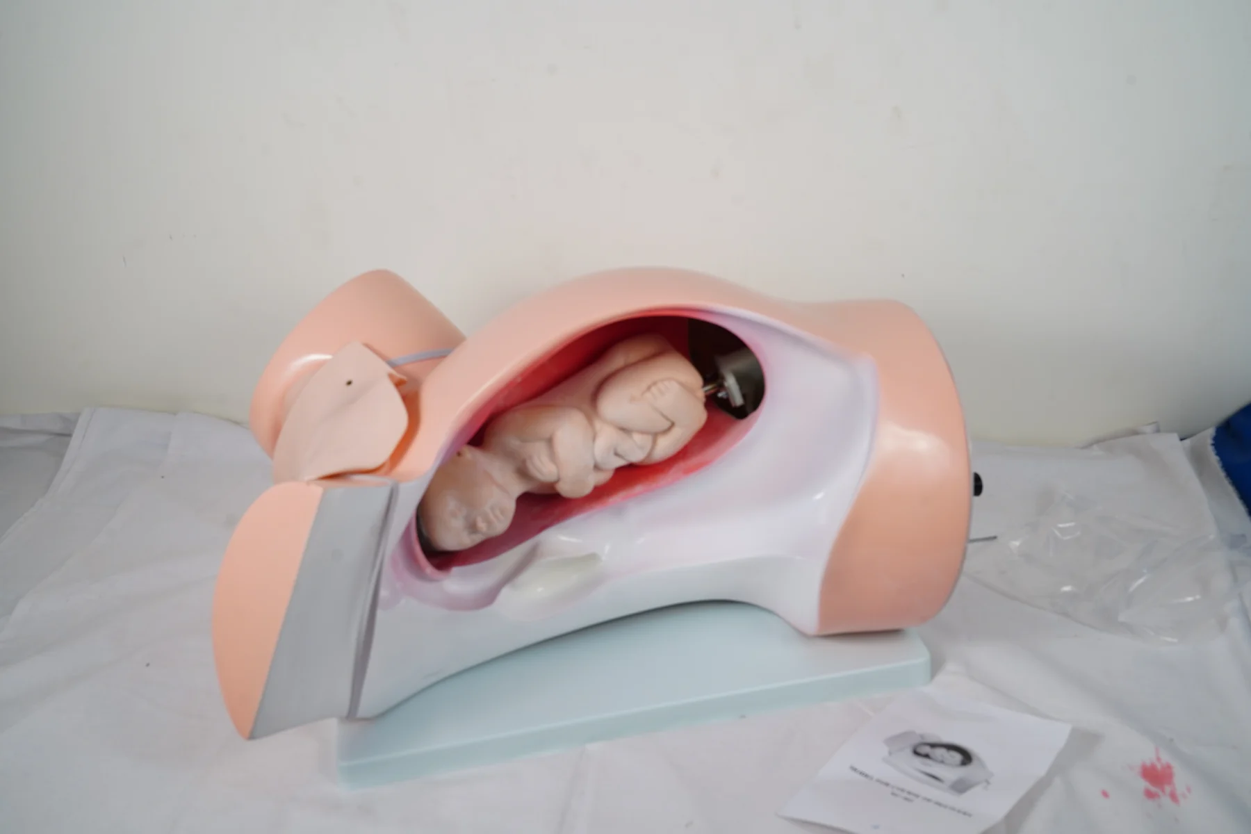 Model For Course of Delivery thumbnail 6