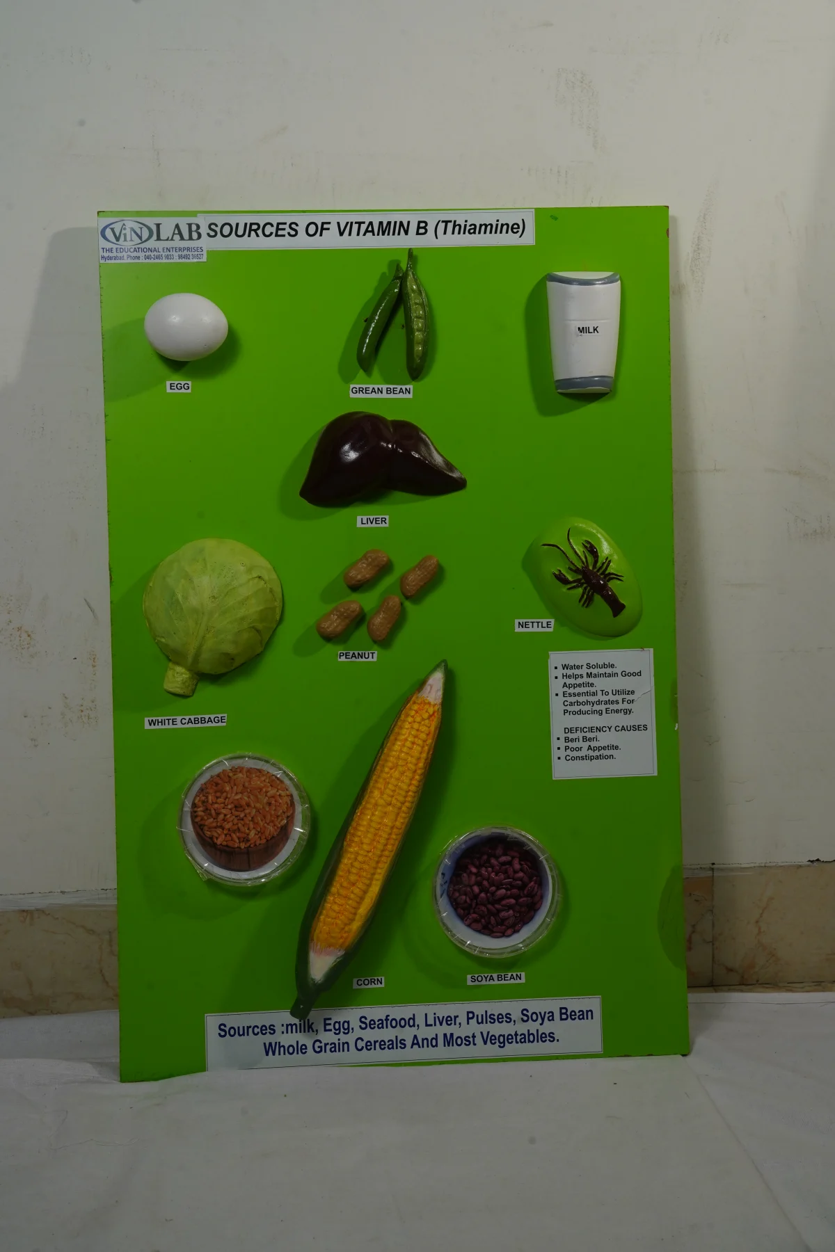 Sources of Vitamin B Thiamine thumbnail 3