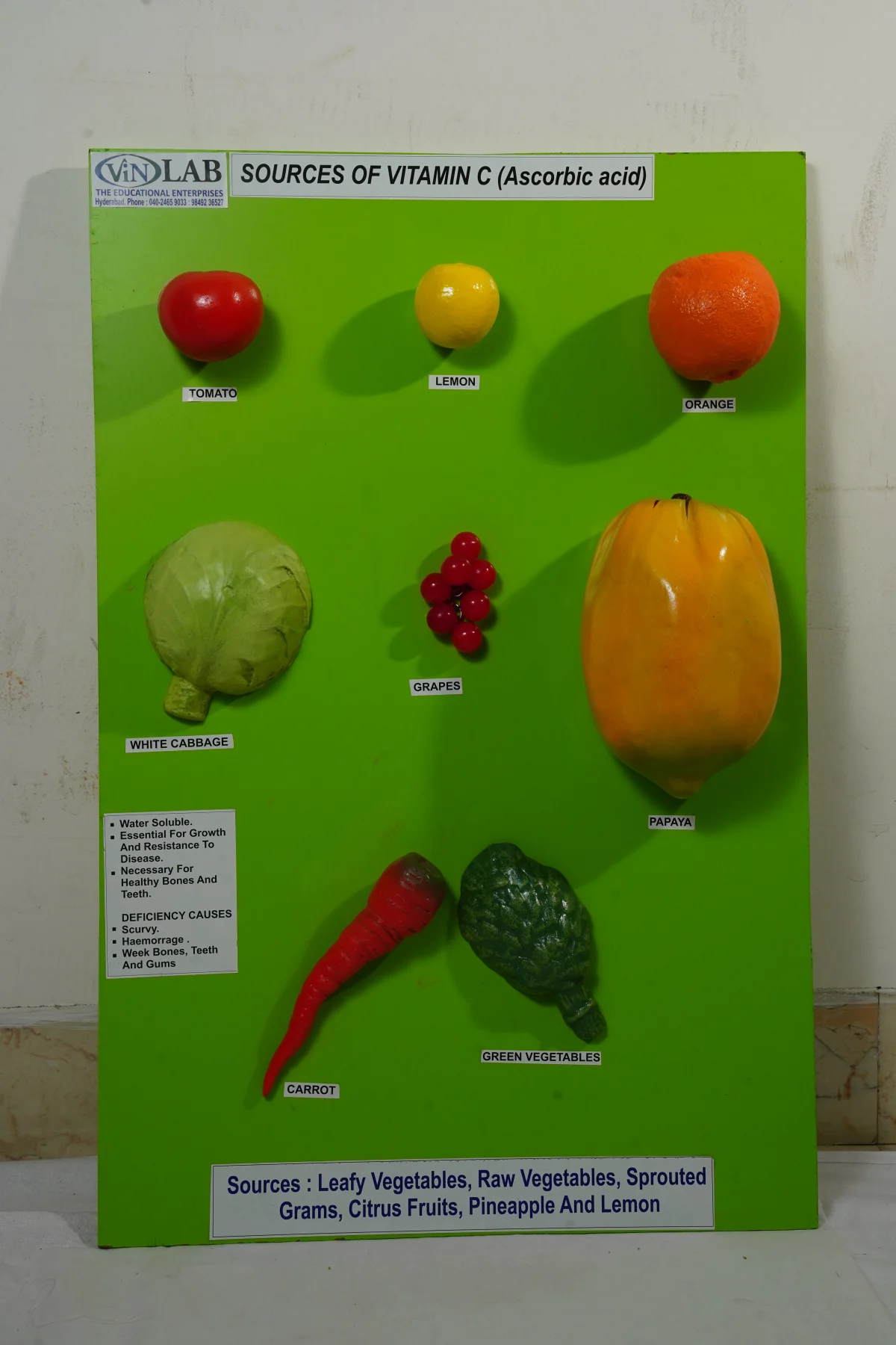 Sources of Vitamin C Ascorbic Acid