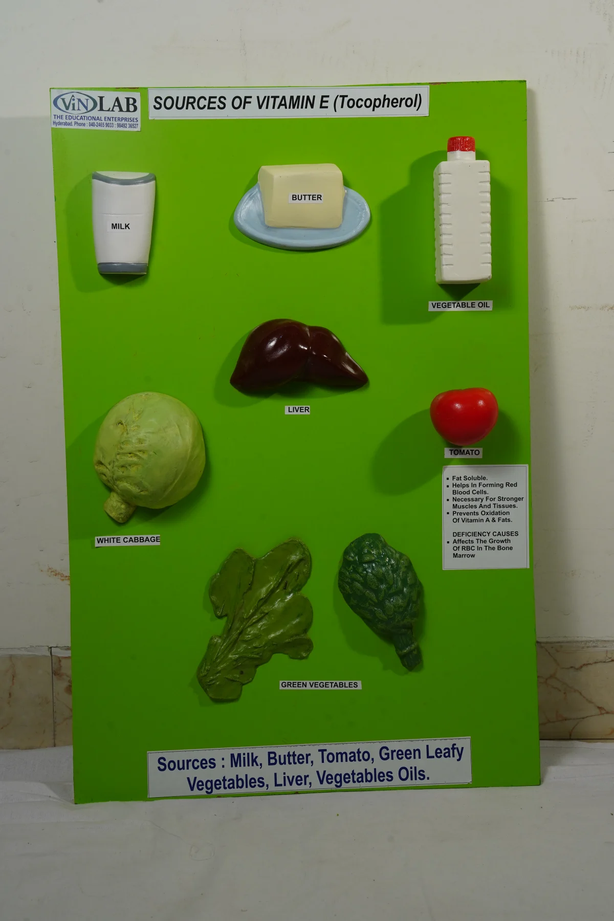 Sources of Vitamin E Tocopherol thumbnail 2