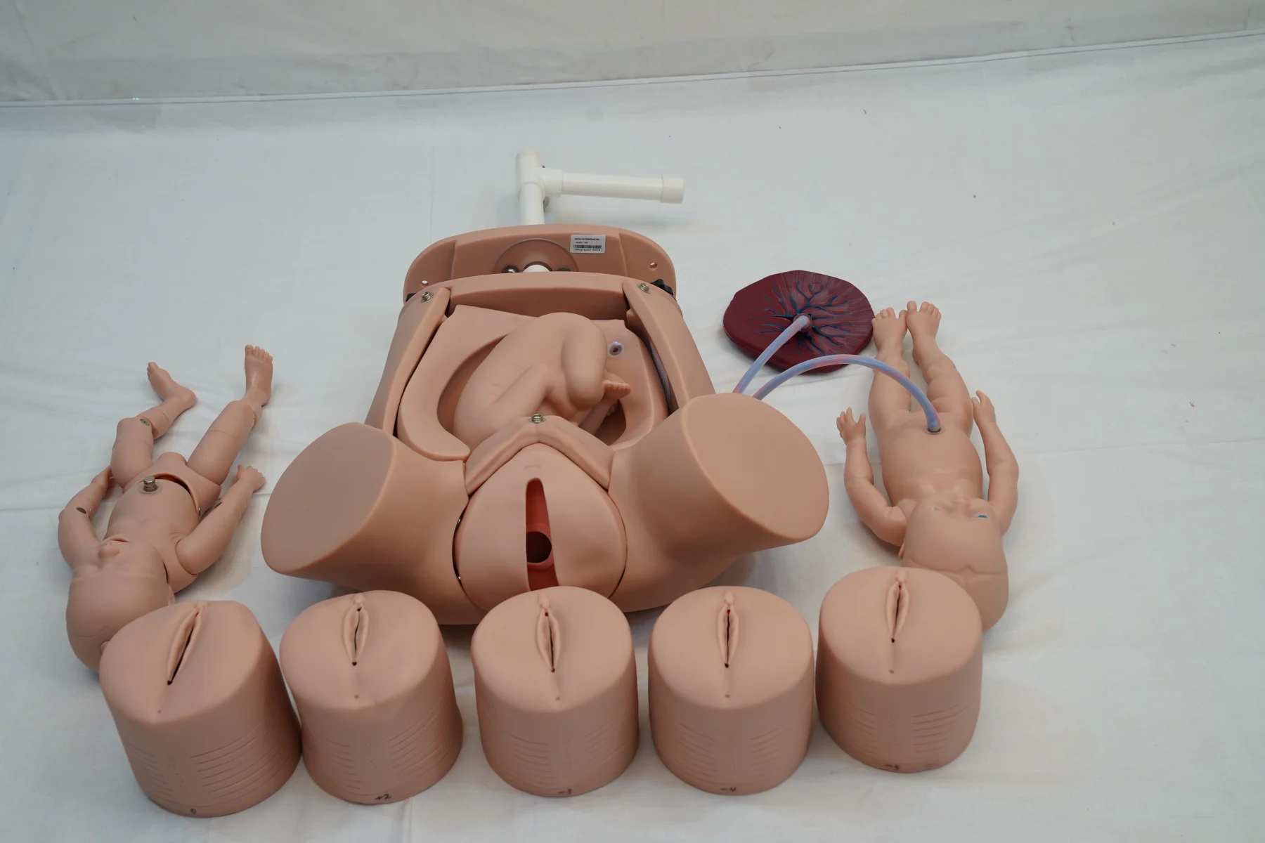 Advanced Abdominal Palpation and Delivery Mechanism