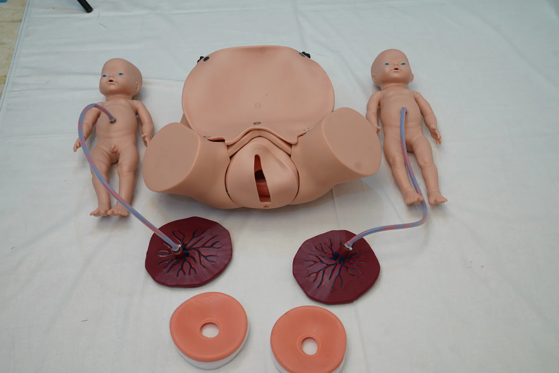 Advanced Delivery Mechanism Demonstration Simulator thumbnail 3