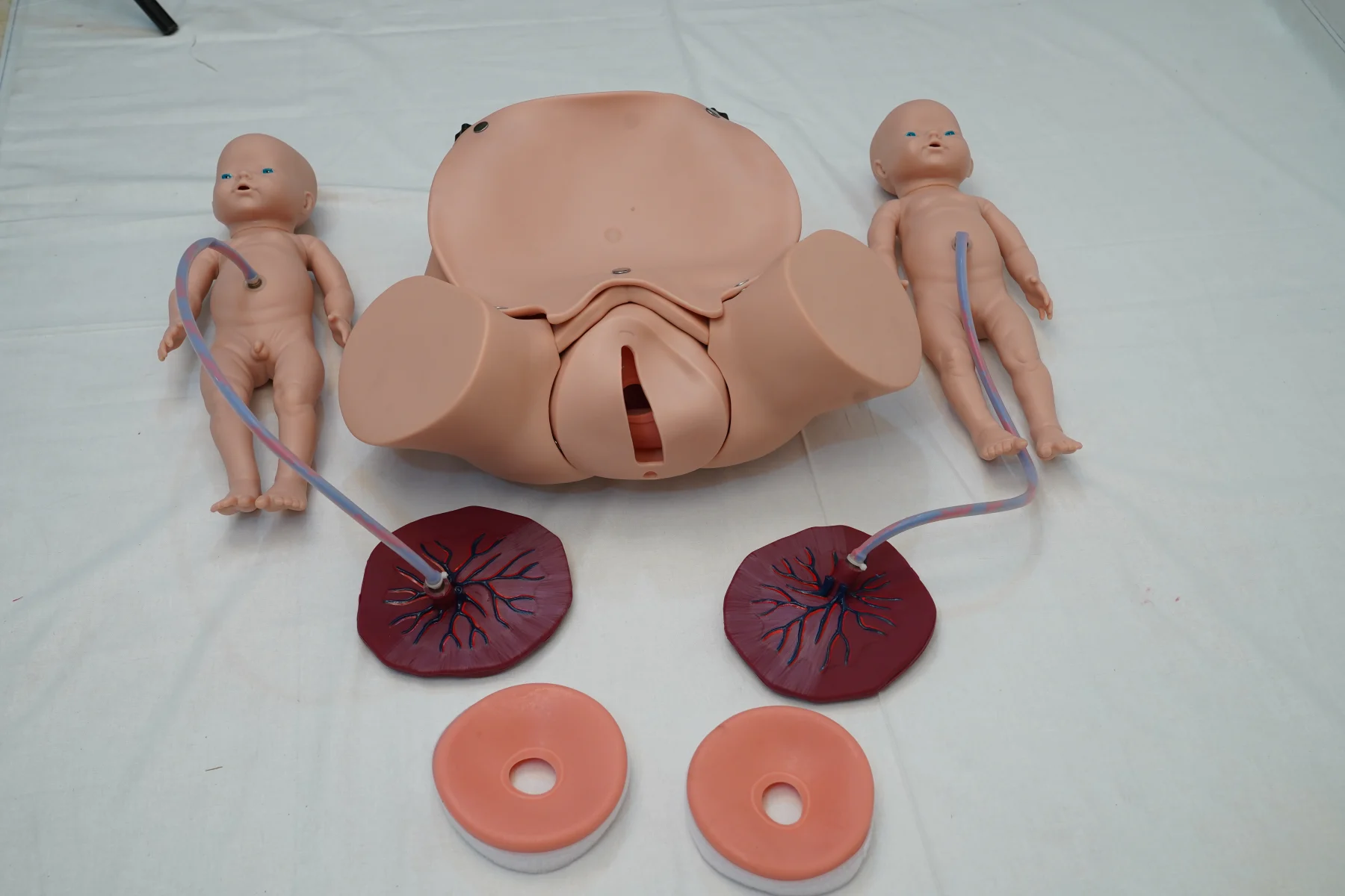 Advanced Delivery Mechanism Demonstration Simulator thumbnail 4